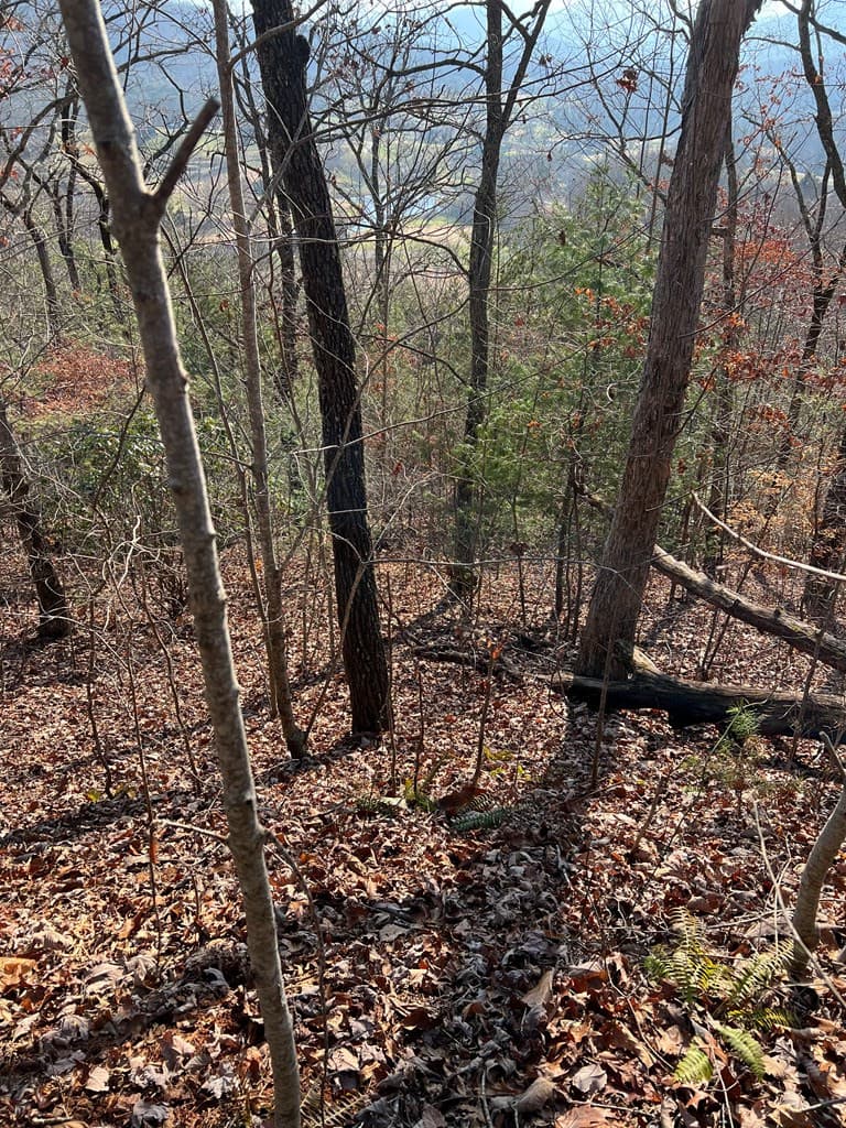 Residential Lot at Lot 56c 56C Indian Trail, Hayesville, NC 28904, photo 9 of 9