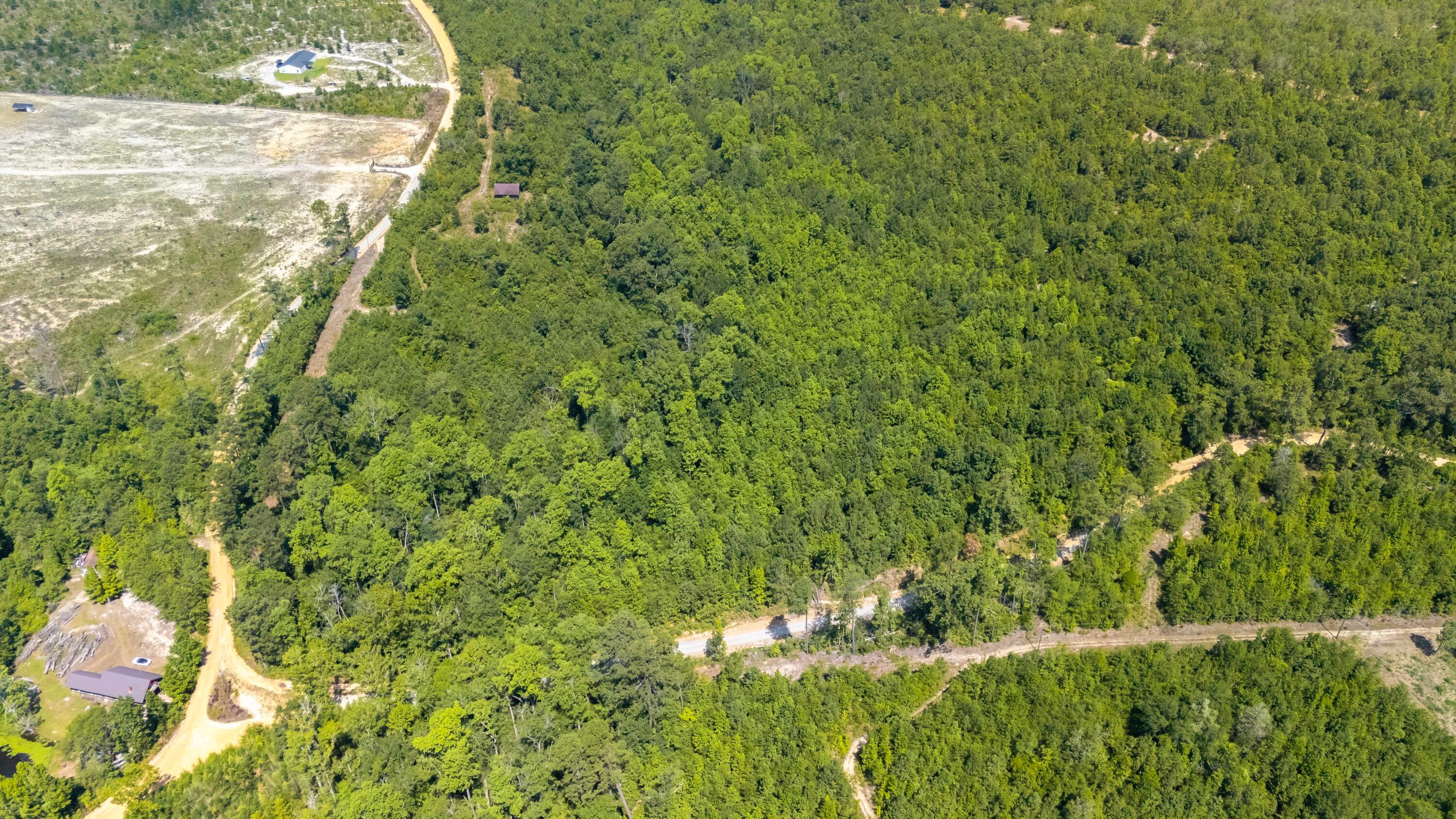 Undeveloped at 2576 Jessie James Pond Road, Wrens, GA 30833, photo 4 of 56