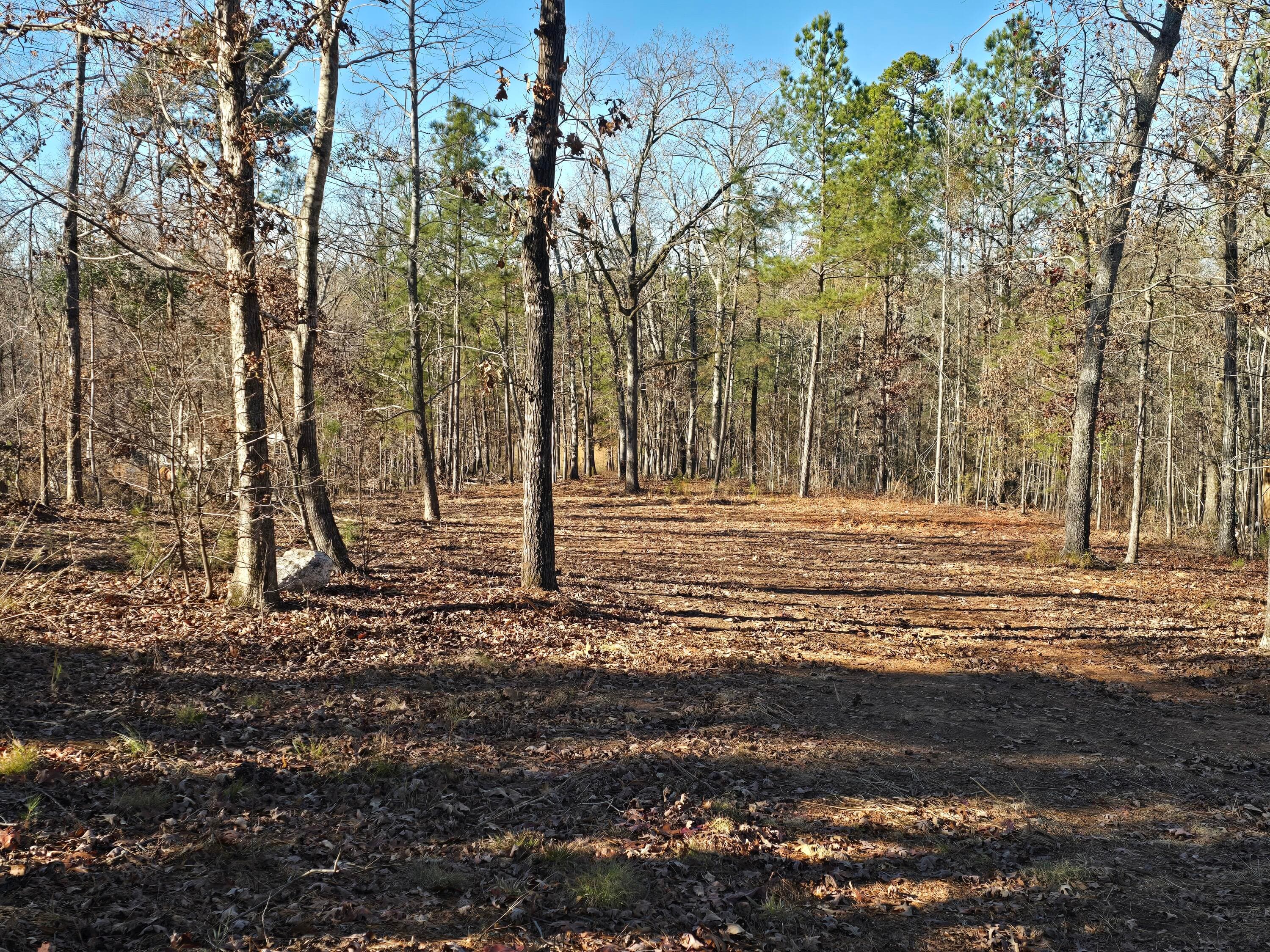 Residential Lot at 1102 Dogwood Drive, Lincolnton, GA 30817, photo 6 of 46