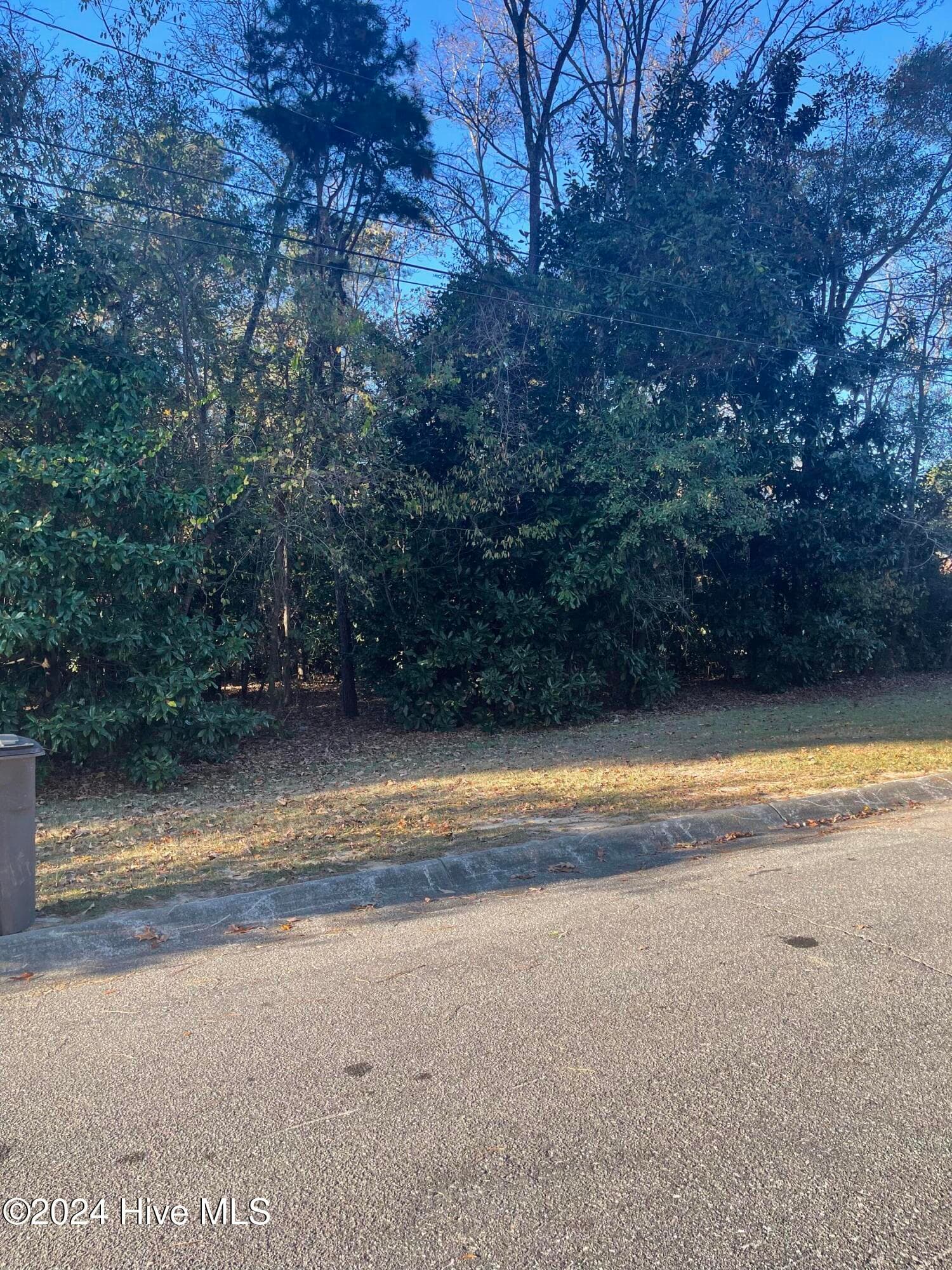 Wooded at 408 Lot 4, Block F, Lake Pines Drive, La Grange, NC 28551, photo 8 of 12