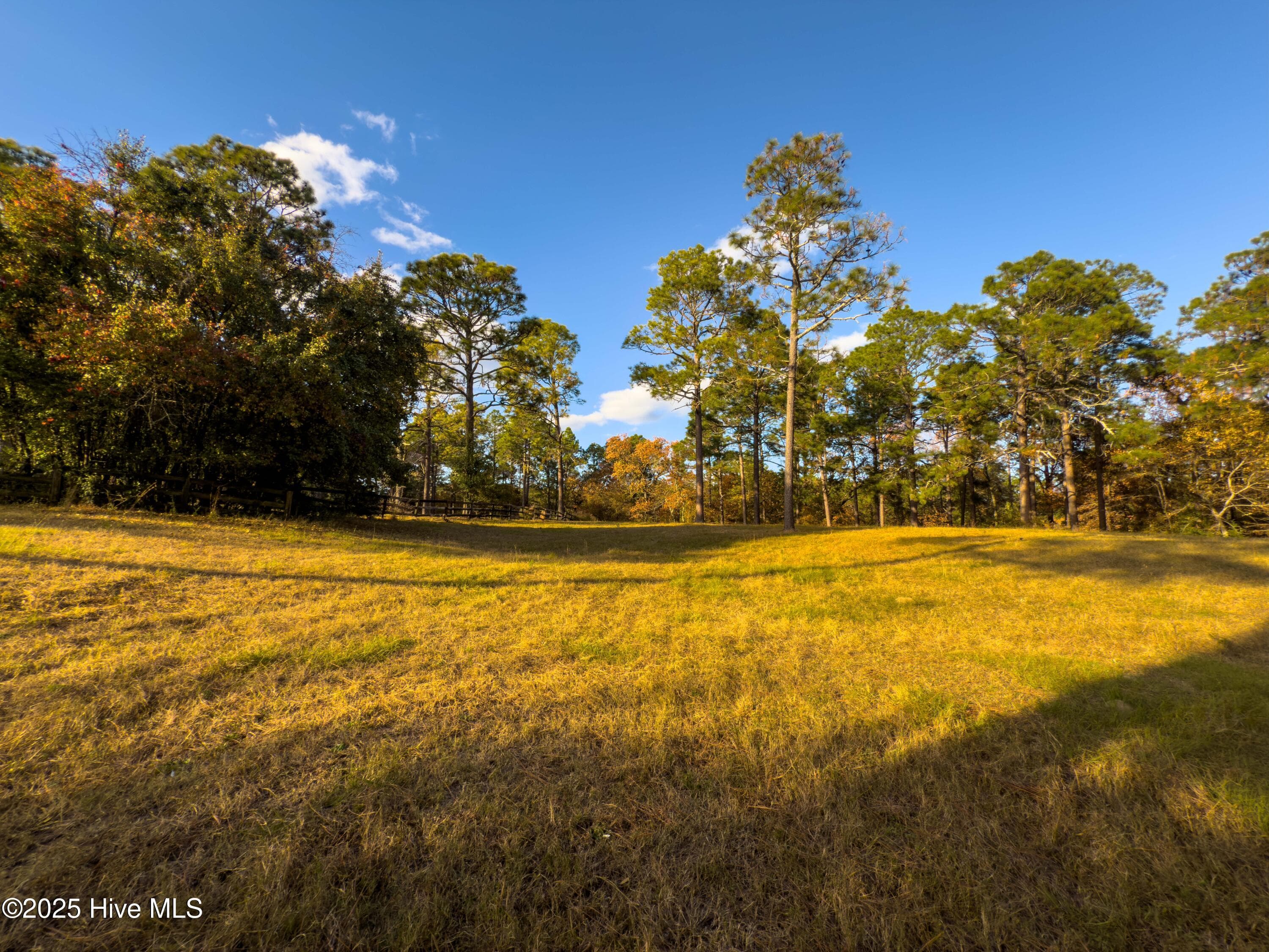 Single Family Residence at 292 Bump A Long Lane, Southern Pines, NC 28387, photo 5 of 82