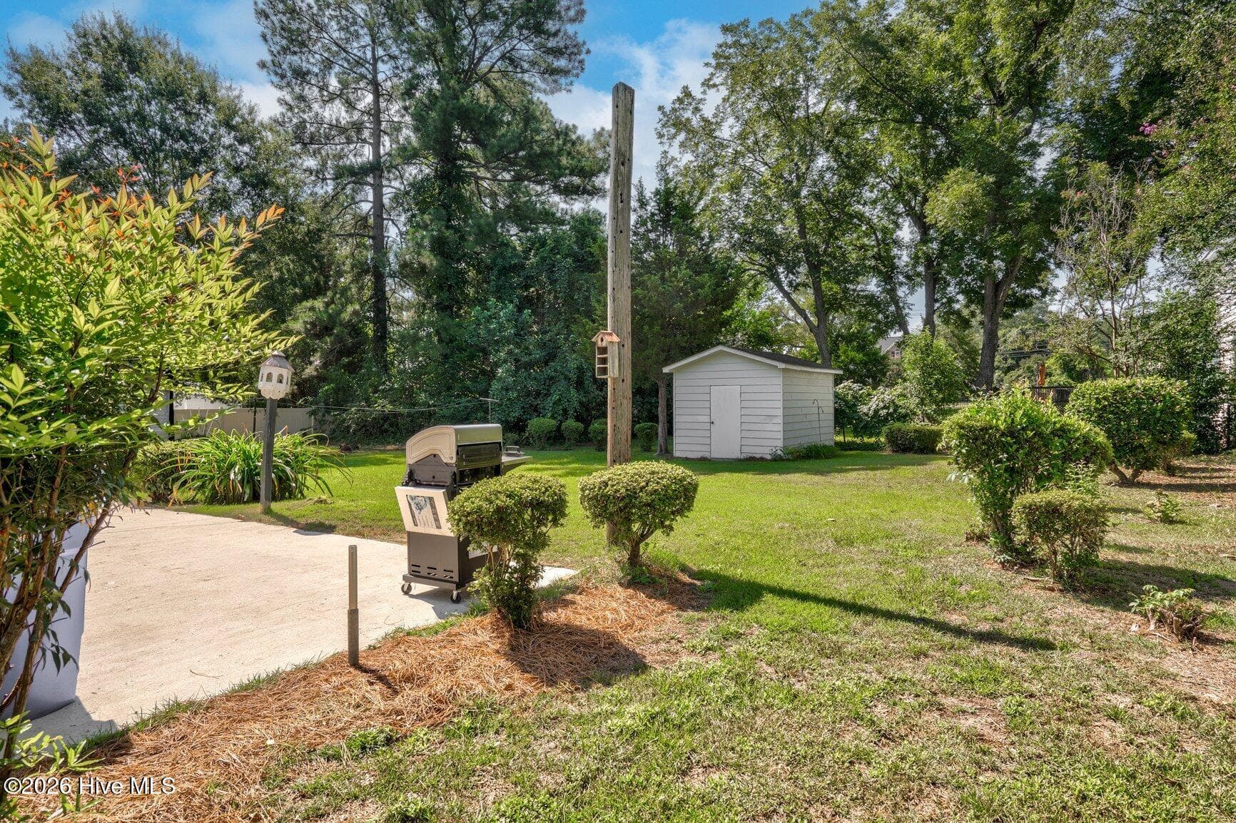 Back yard - 405 E Center Street, Nashville, NC 27856