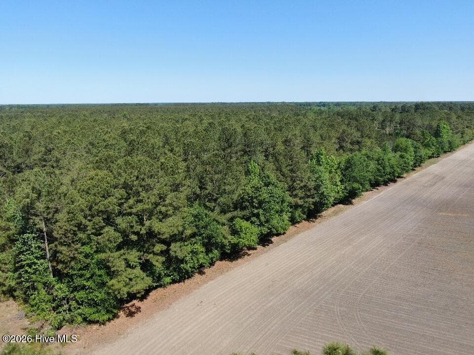 Wooded at 20.51 Acre Sweat Drive, Bladenboro, NC 28320, photo 8 of 16