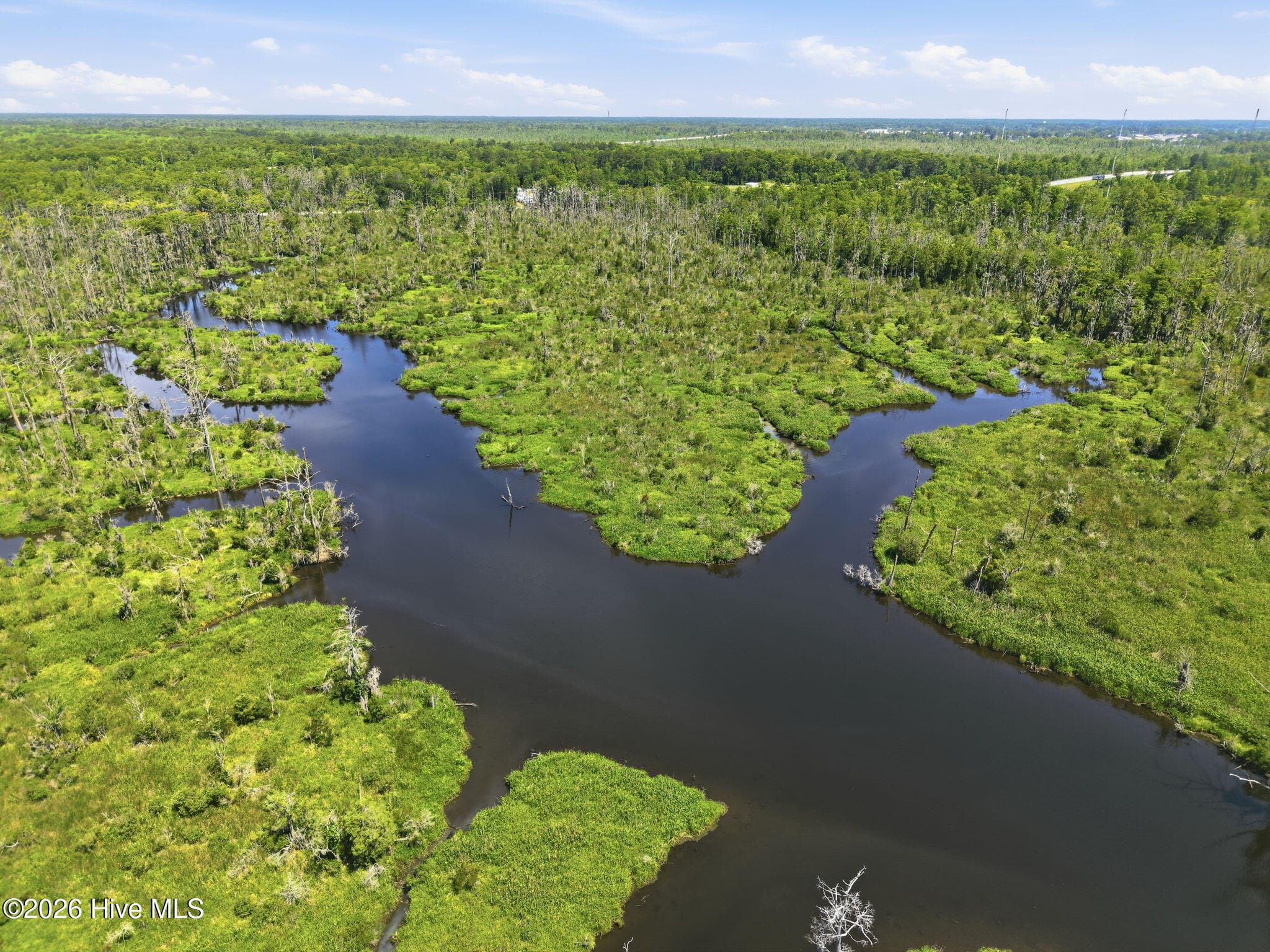 Undeveloped at 000 Us 17, Chocowinity, NC 27817, photo 11 of 17