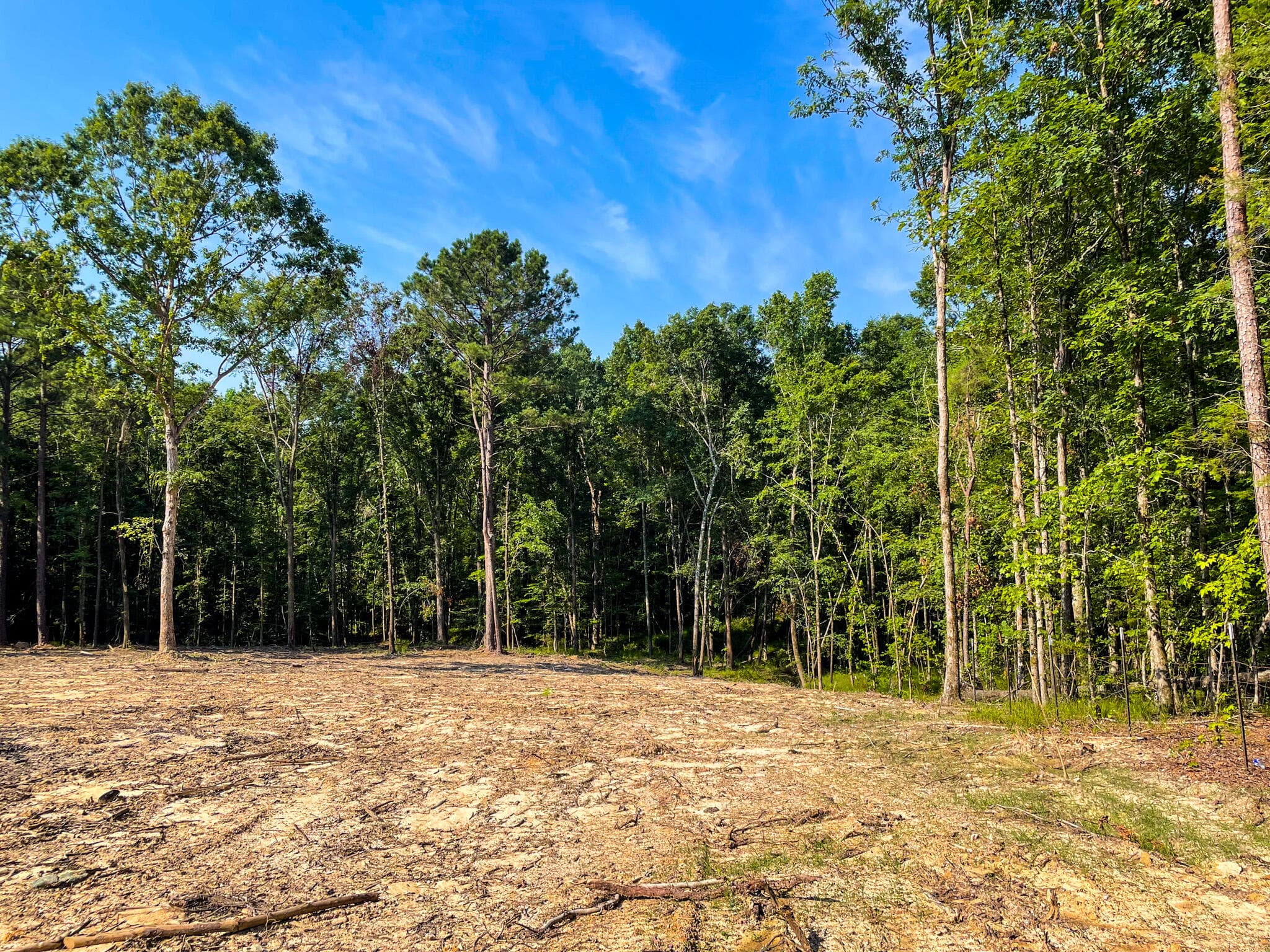 Undeveloped at 0 Backway Road, Lincolnton, GA 30817, photo 8 of 48