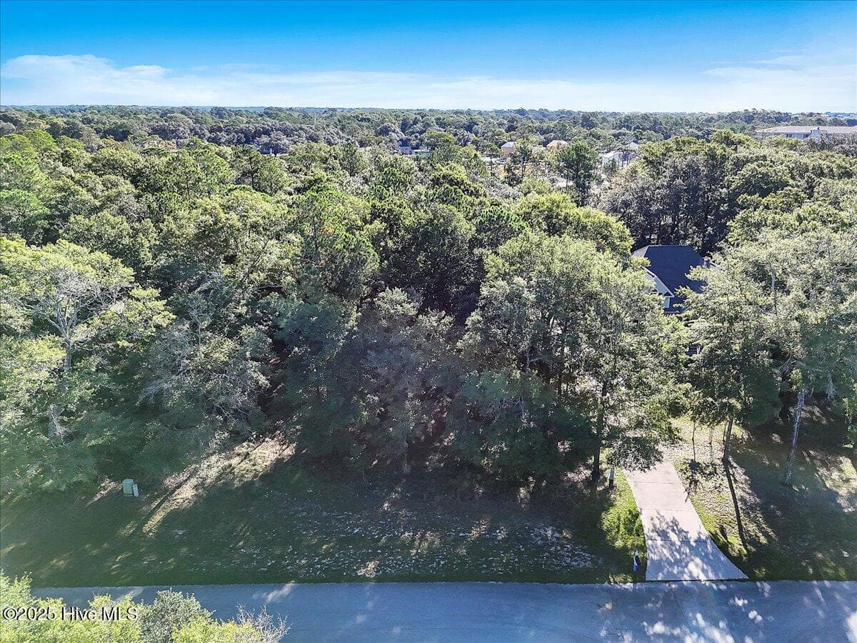 Residential Lot at 3349 428 Stone Crab Court SW, Supply, NC 28462, photo 3 of 20