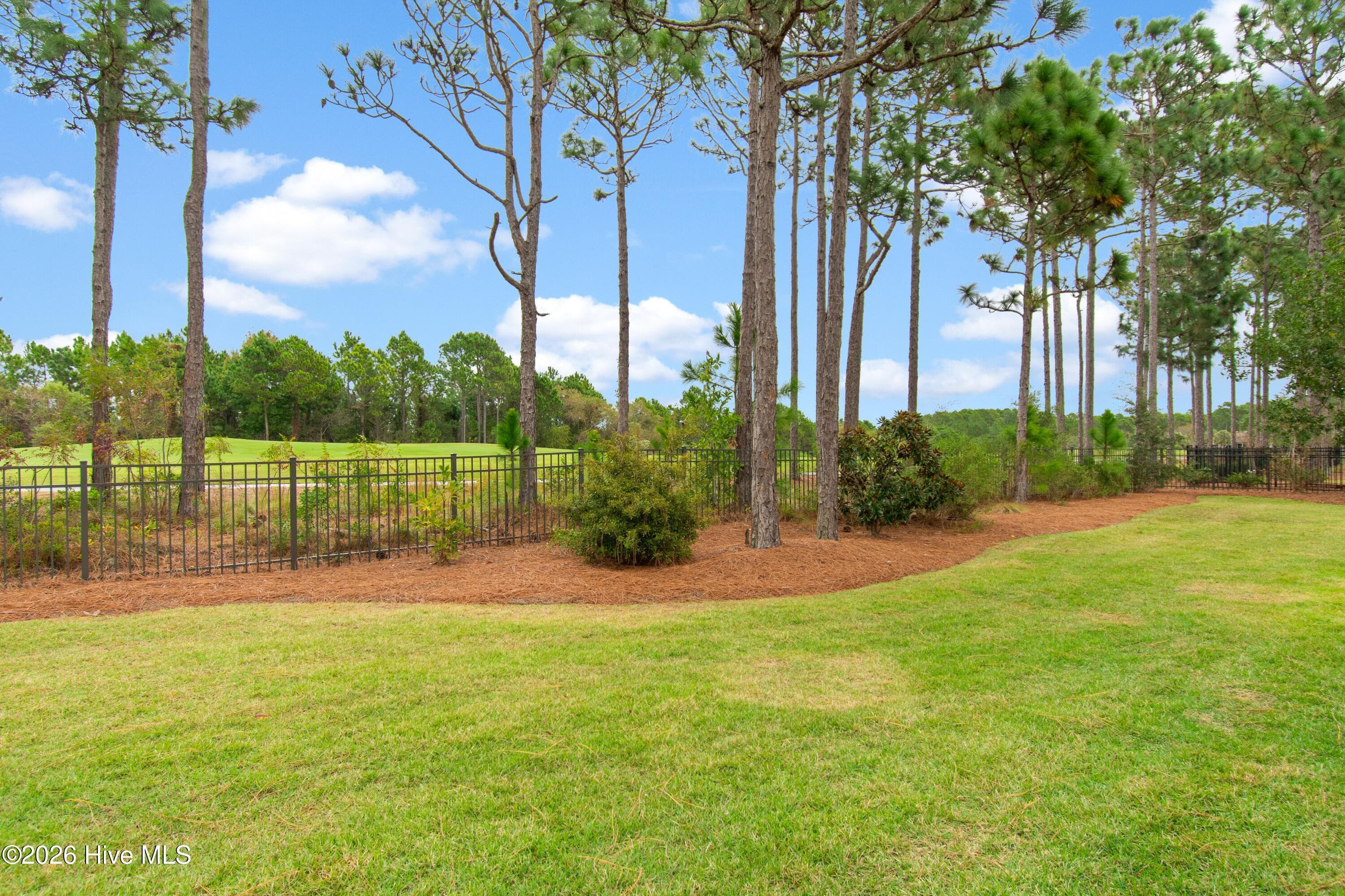 Single Family Residence at 3227 Moss Hammock Wynd, Southport, NC 28461, photo 6 of 87