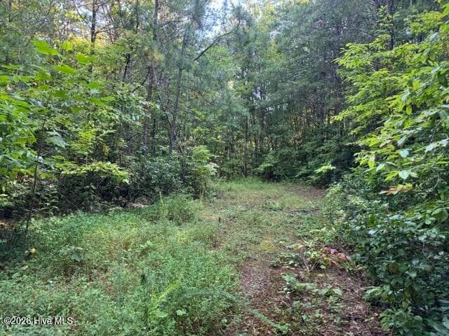 Residential Lot at 5 Tyler Lane, Marble, NC 28905, photo 7 of 28