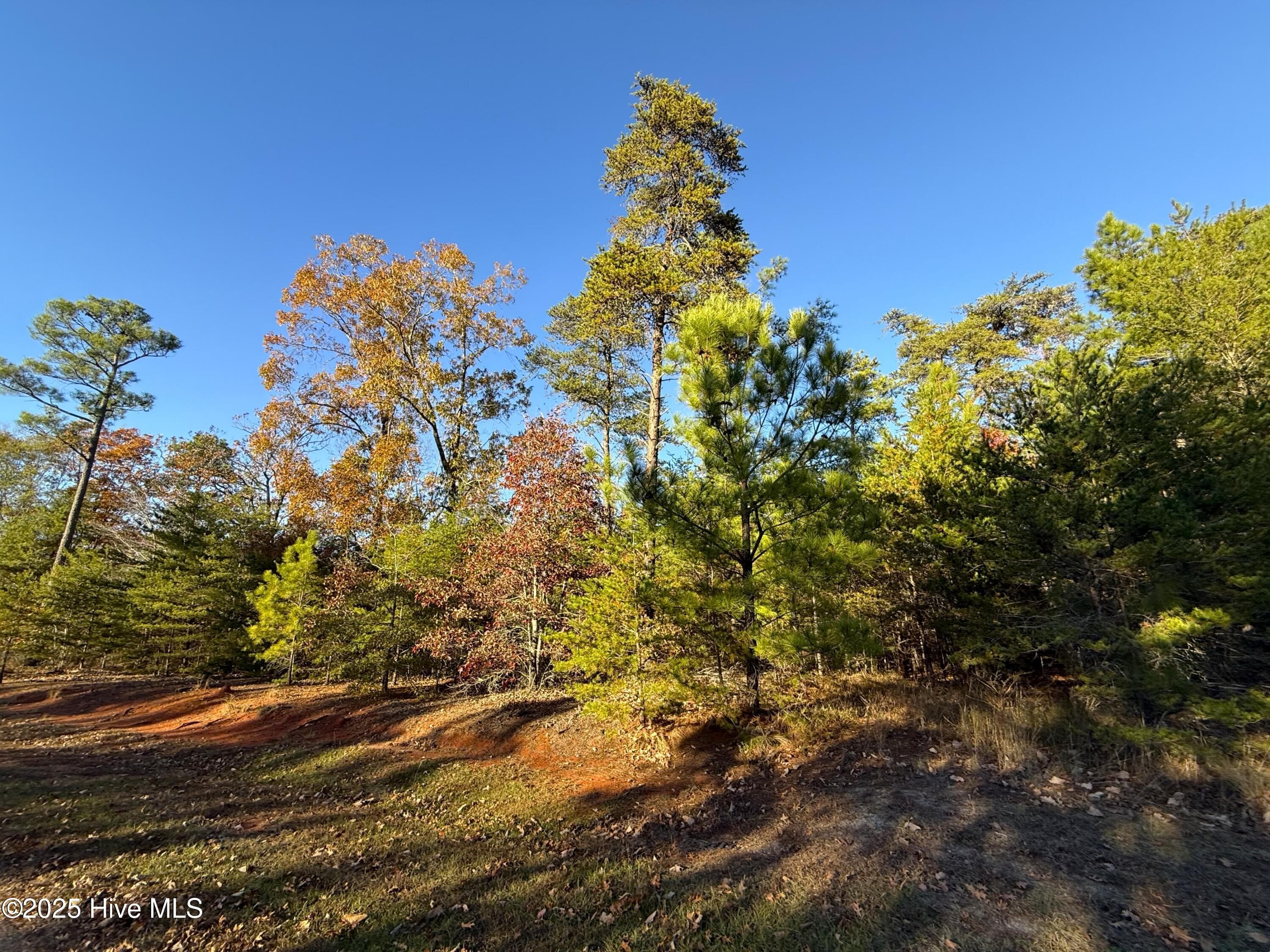 Residential Lot at 176 94 Lakeview Pass, Rockingham, NC 28379, photo 18 of 30