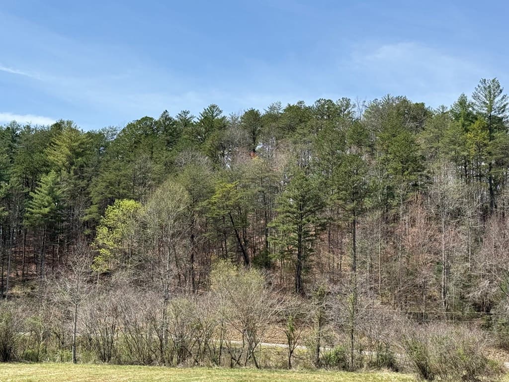 Undeveloped at 0 Morrow Road, Murphy, NC 28906, photo 3 of 3