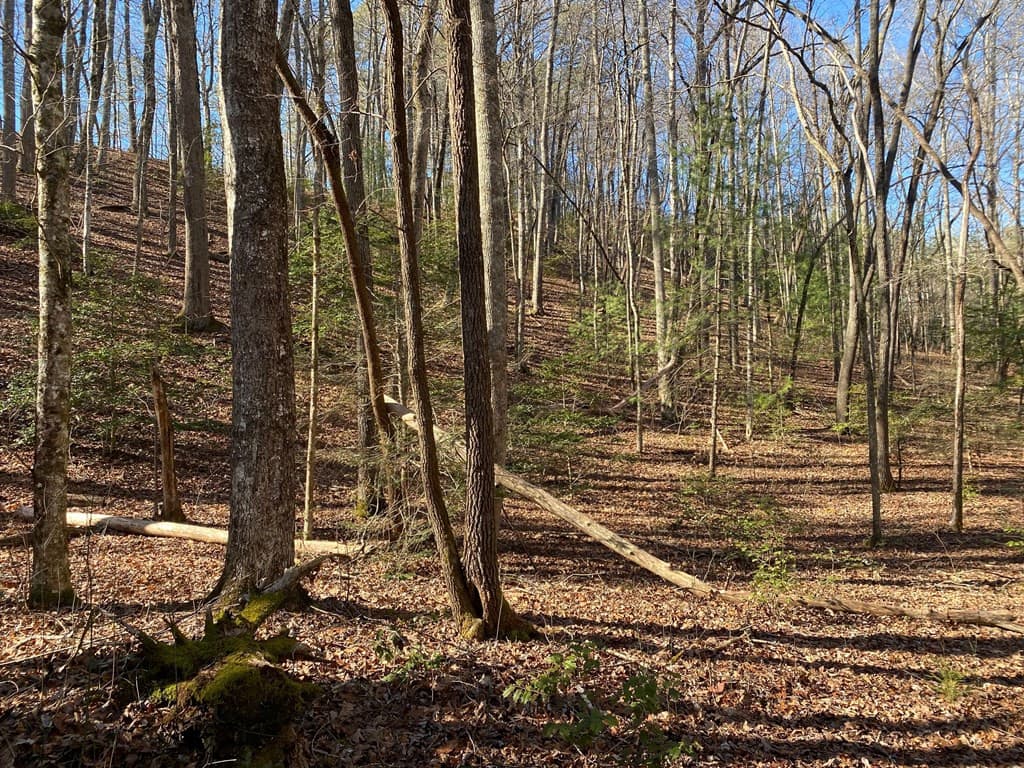 Land at TBD Collett Wood Cove, Andrews, NC 28901, photo 4 of 5