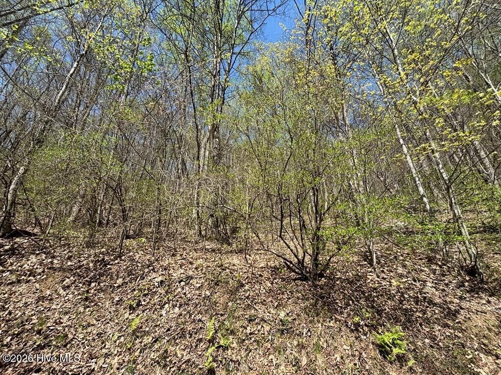Wooded at Lot 4 Outlook Road, Murphy, NC 28906, photo 4 of 10