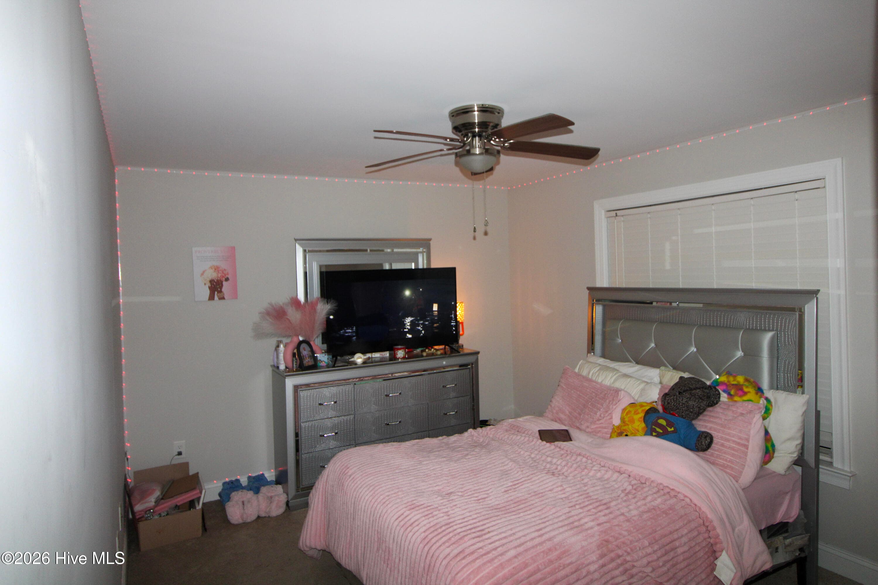 Single Family Residence at 8153 Haw Branch Road, Bailey, NC 27807, Bailey, photo 12 of 35