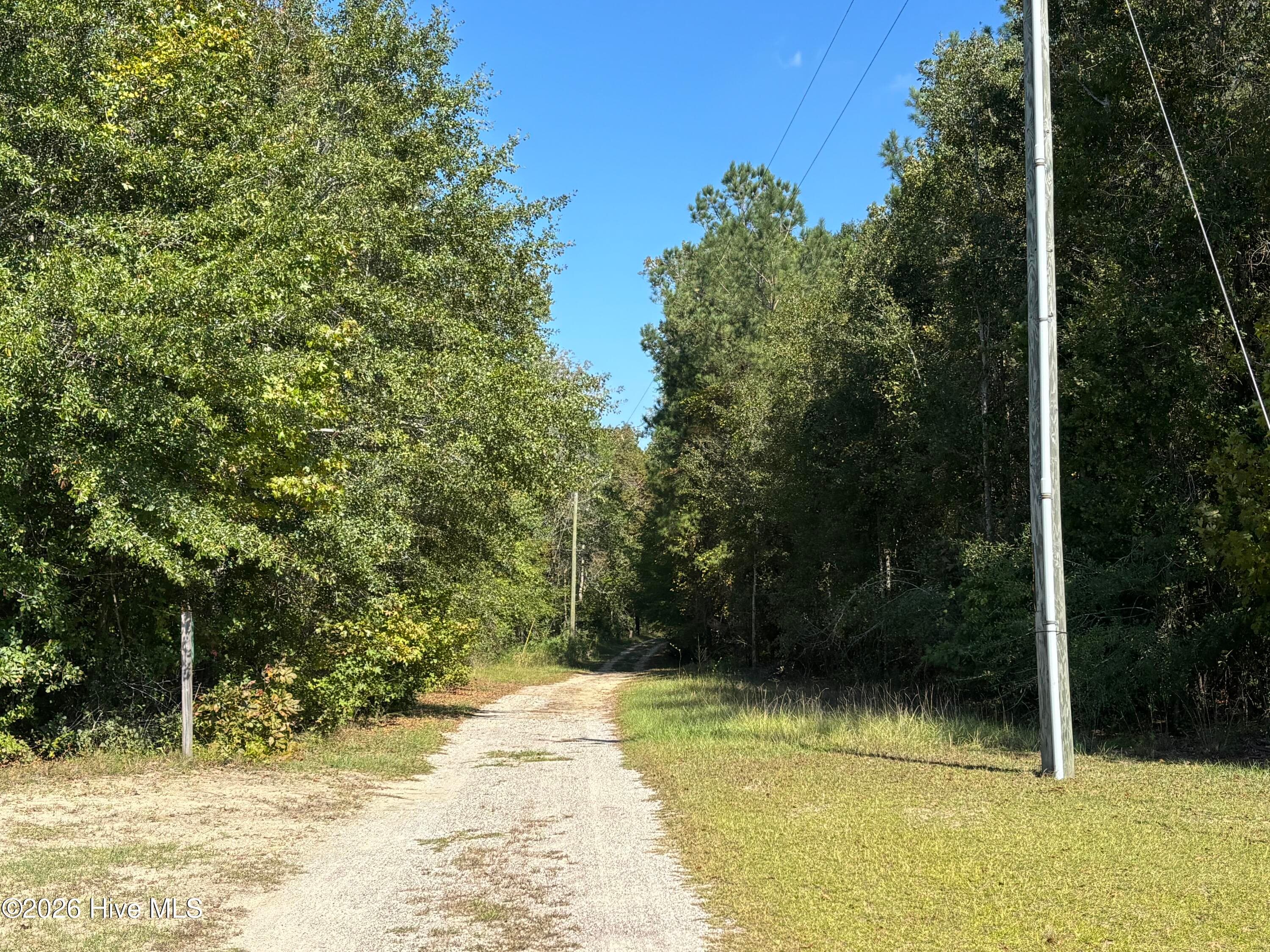 The driveway leaving the property. - 593 La Wane Lane, Trenton, NC 28585