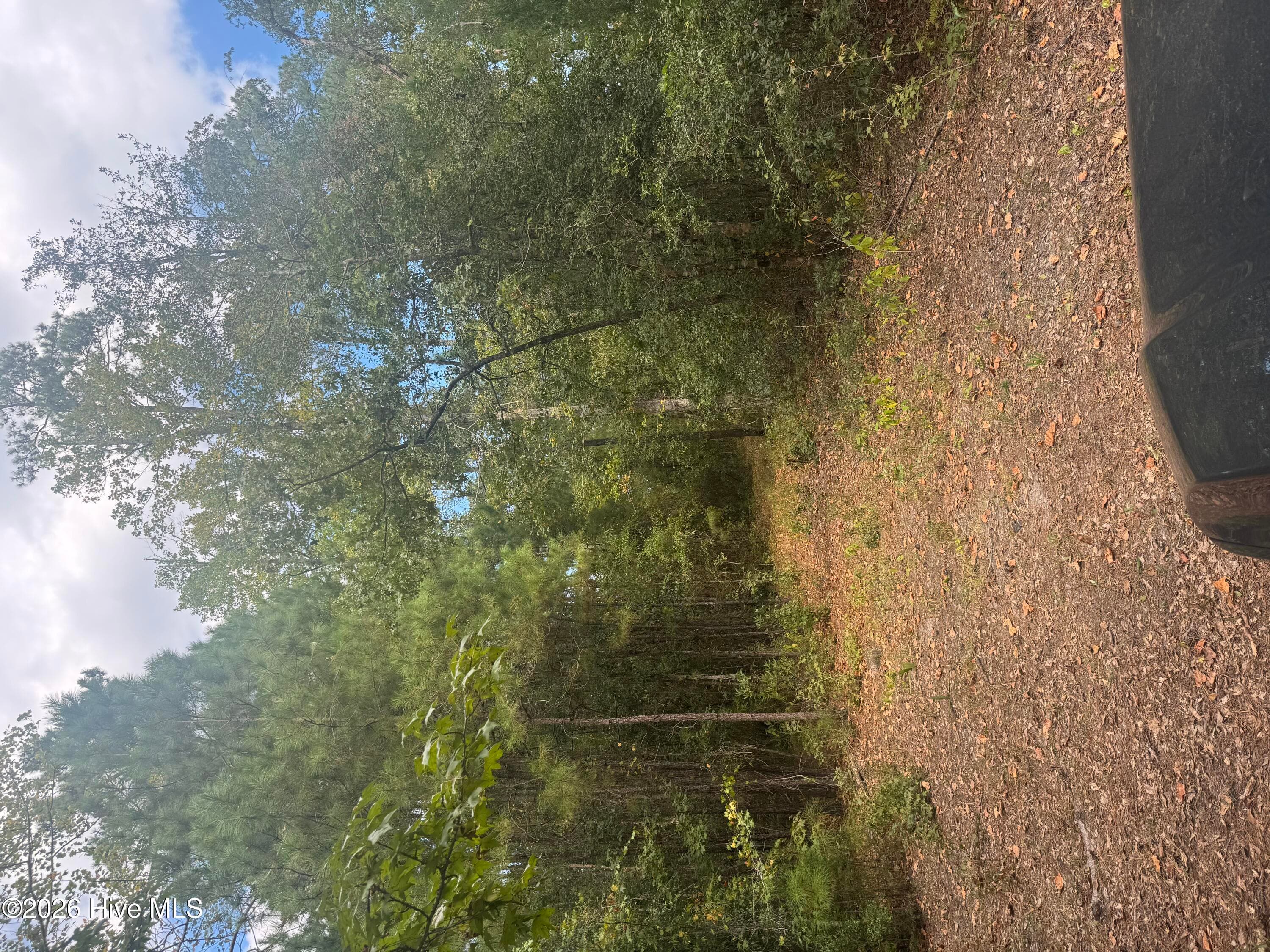 Undeveloped at 0 Nc 304, Bayboro, NC 28515, photo 20 of 21