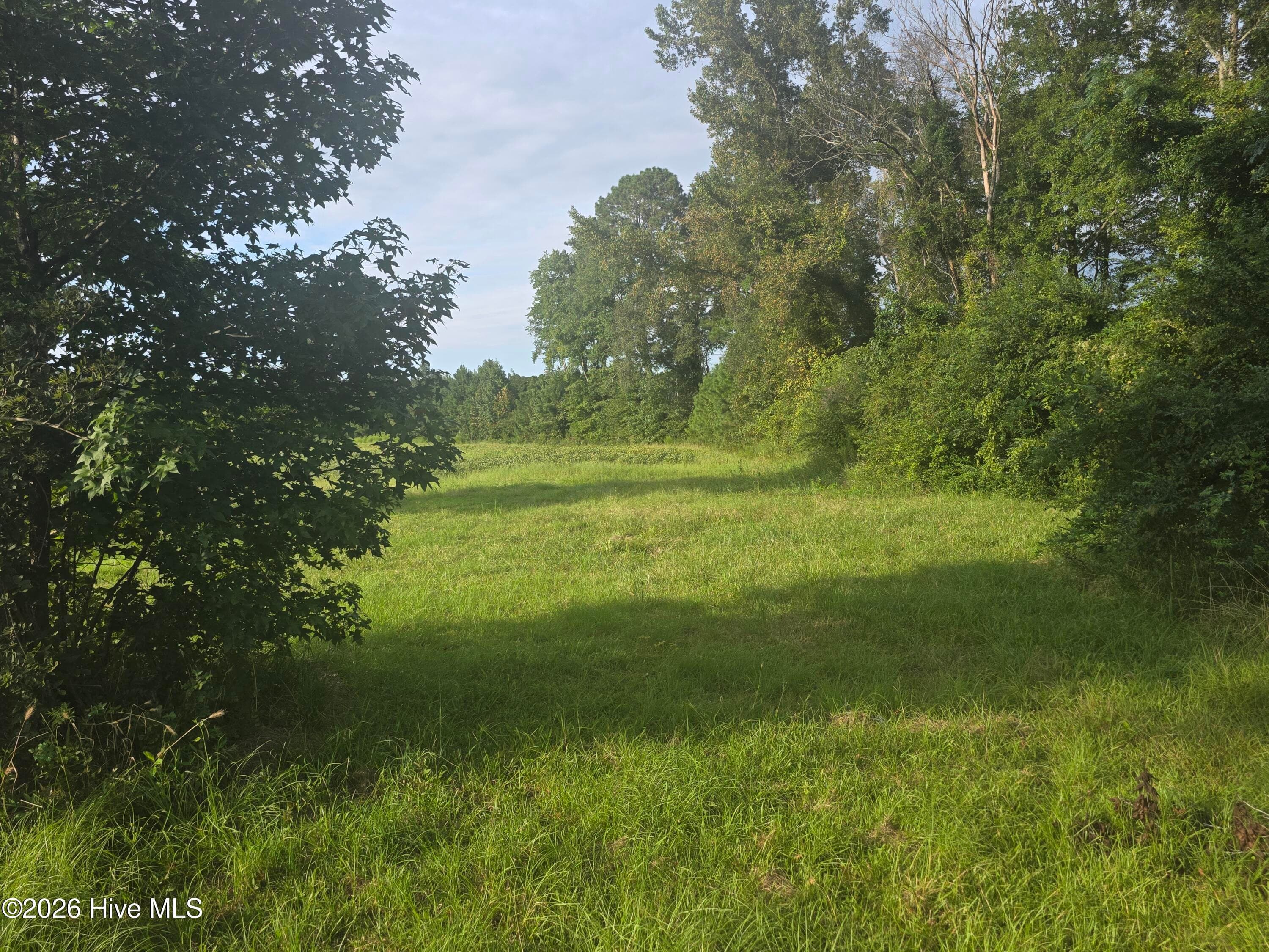 Agriculture at 927 Clarendon Chadbourn Road, Chadbourn, NC 28431, photo 3 of 4