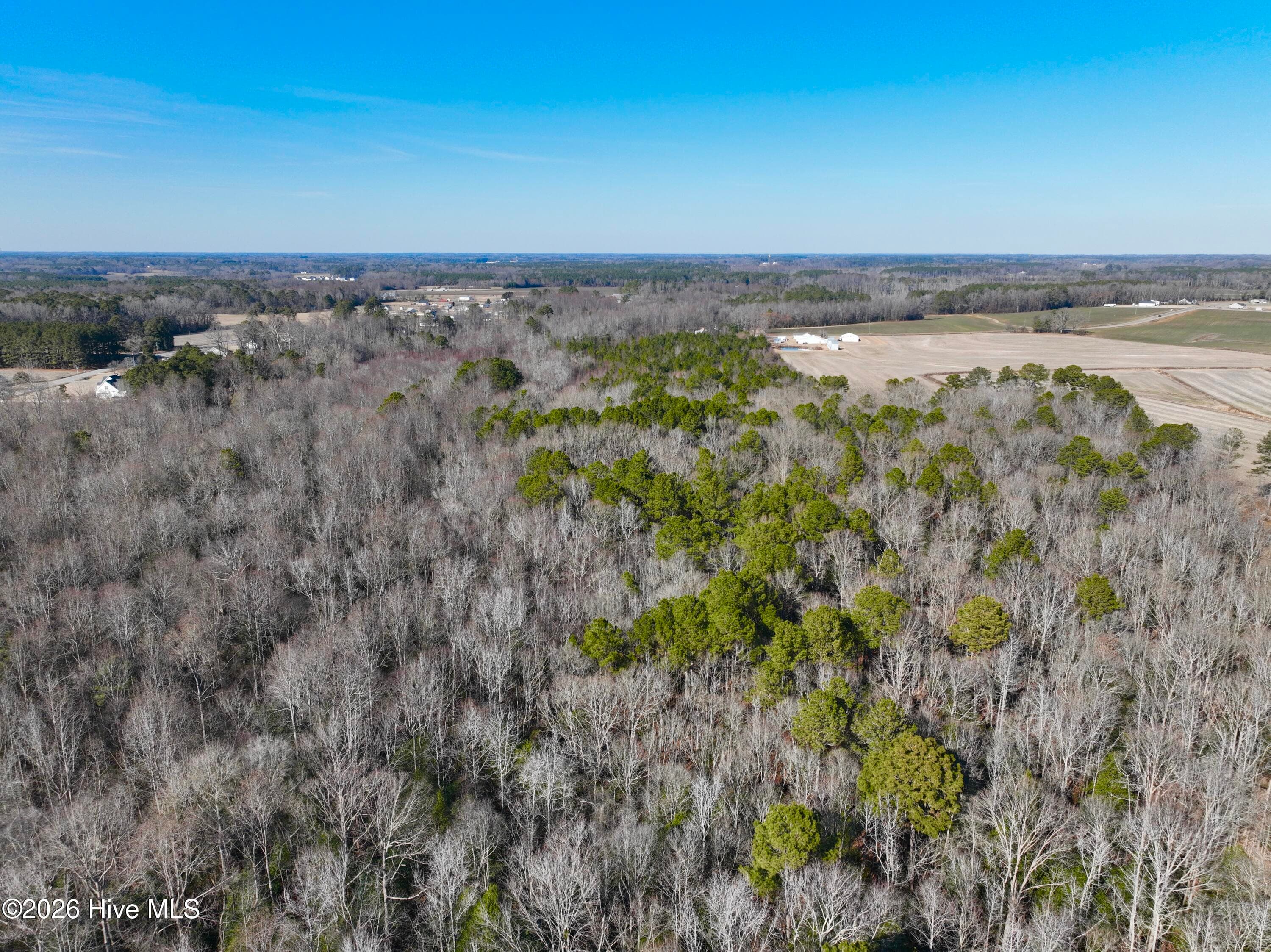 Wooded at 0 Fred Circle S, Kenly, NC 27542, photo 15 of 21