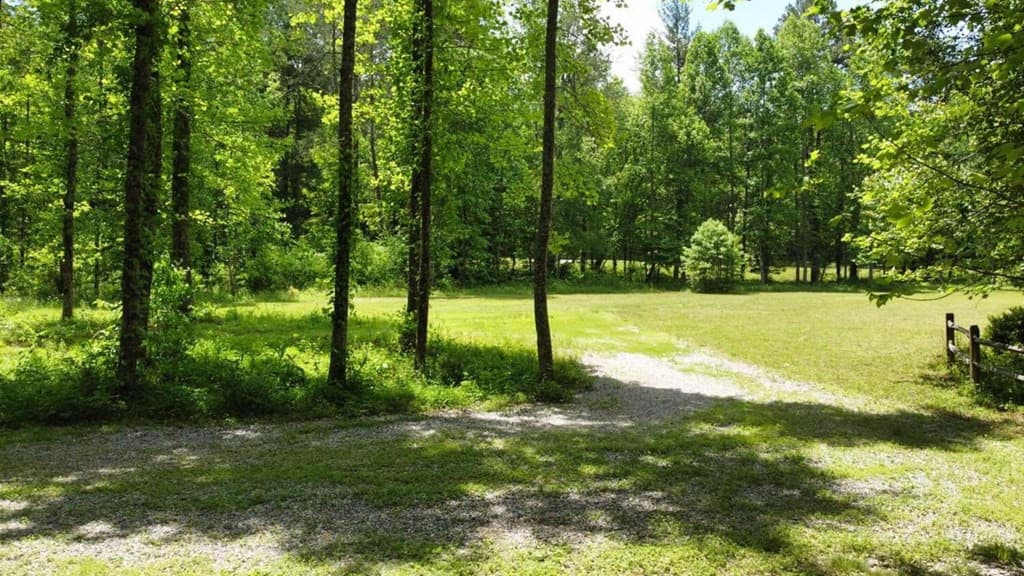 Land at Tract 1 Timber Ridge Road, Blairsville, GA 30512, photo 16 of 19