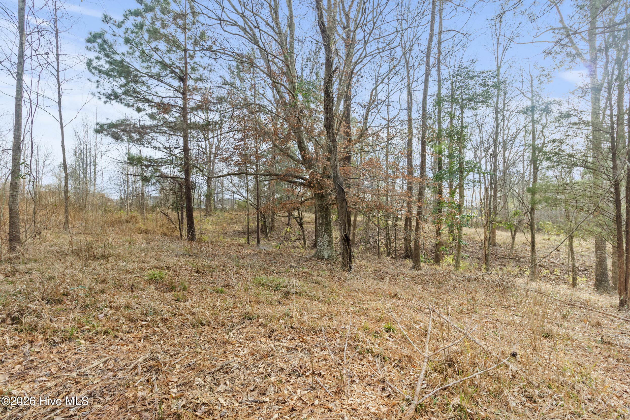 Undeveloped at 2711 Old Airport Road, New Bern, NC 28562, photo 15 of 23