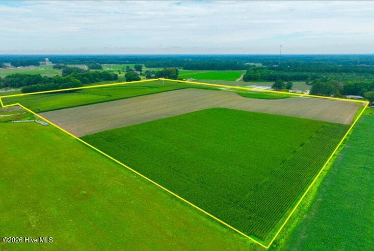 Farm at 478 Davis Mill Road, Fremont, NC 27830, photo 2 of 21