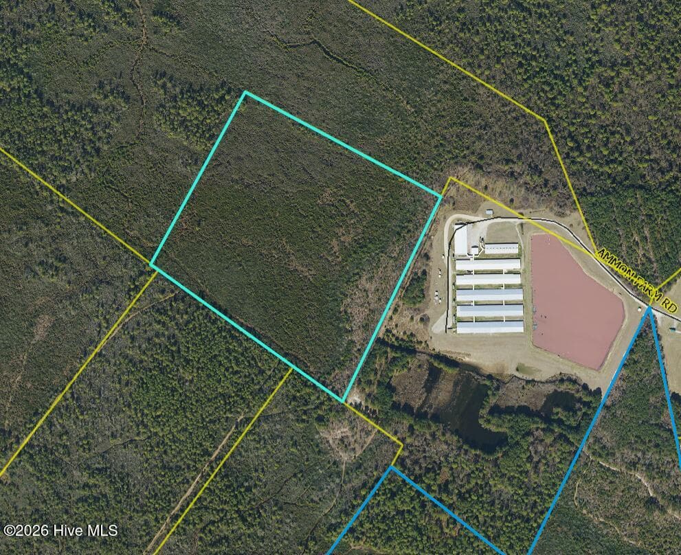 44 Acres Nance-Coble Tract Road, Garland, NC 28441