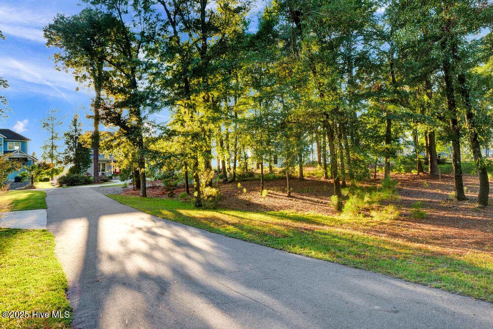 Double lot - in front of home - 3623 White Cliffs Drive, Castle Hayne, NC 28429