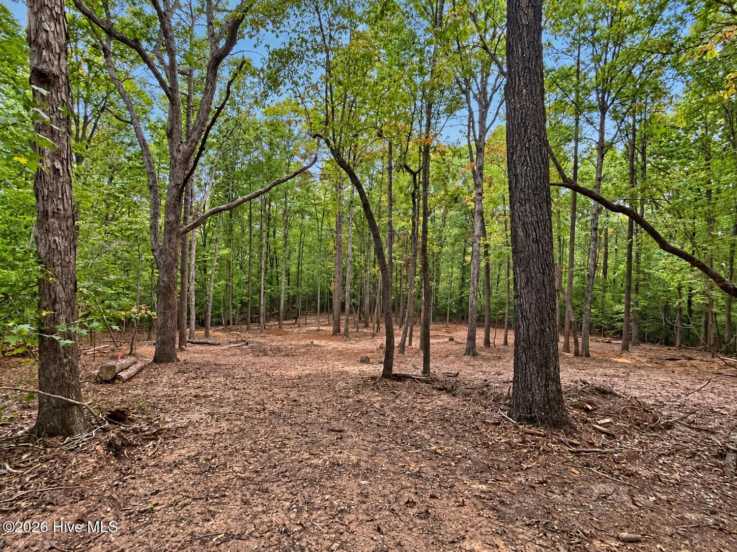 Residential Lot at 150 Morgan Circle, Carthage, NC 28327, photo 3 of 20