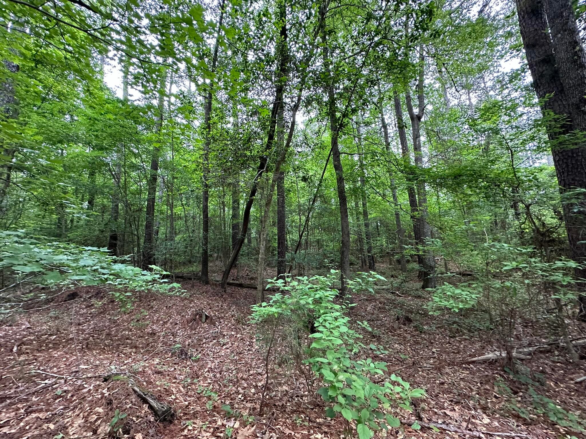 Mixed Use at Lot 3a 3A Elberton Highway, Lincolnton, GA 30817, photo 9 of 27