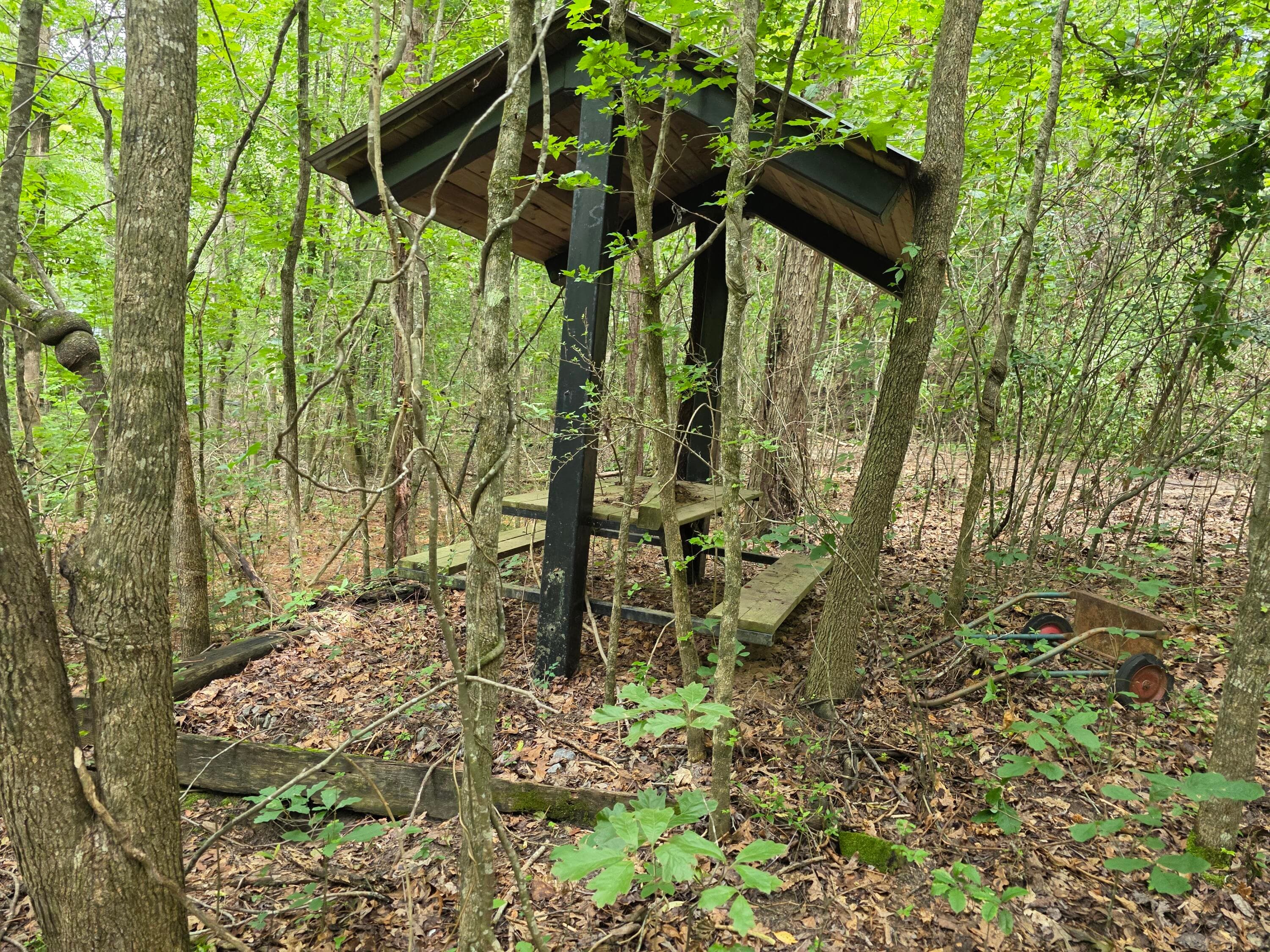 Undeveloped at 2031 Mcdade Road, Hephzibah, GA 30815, photo 7 of 16