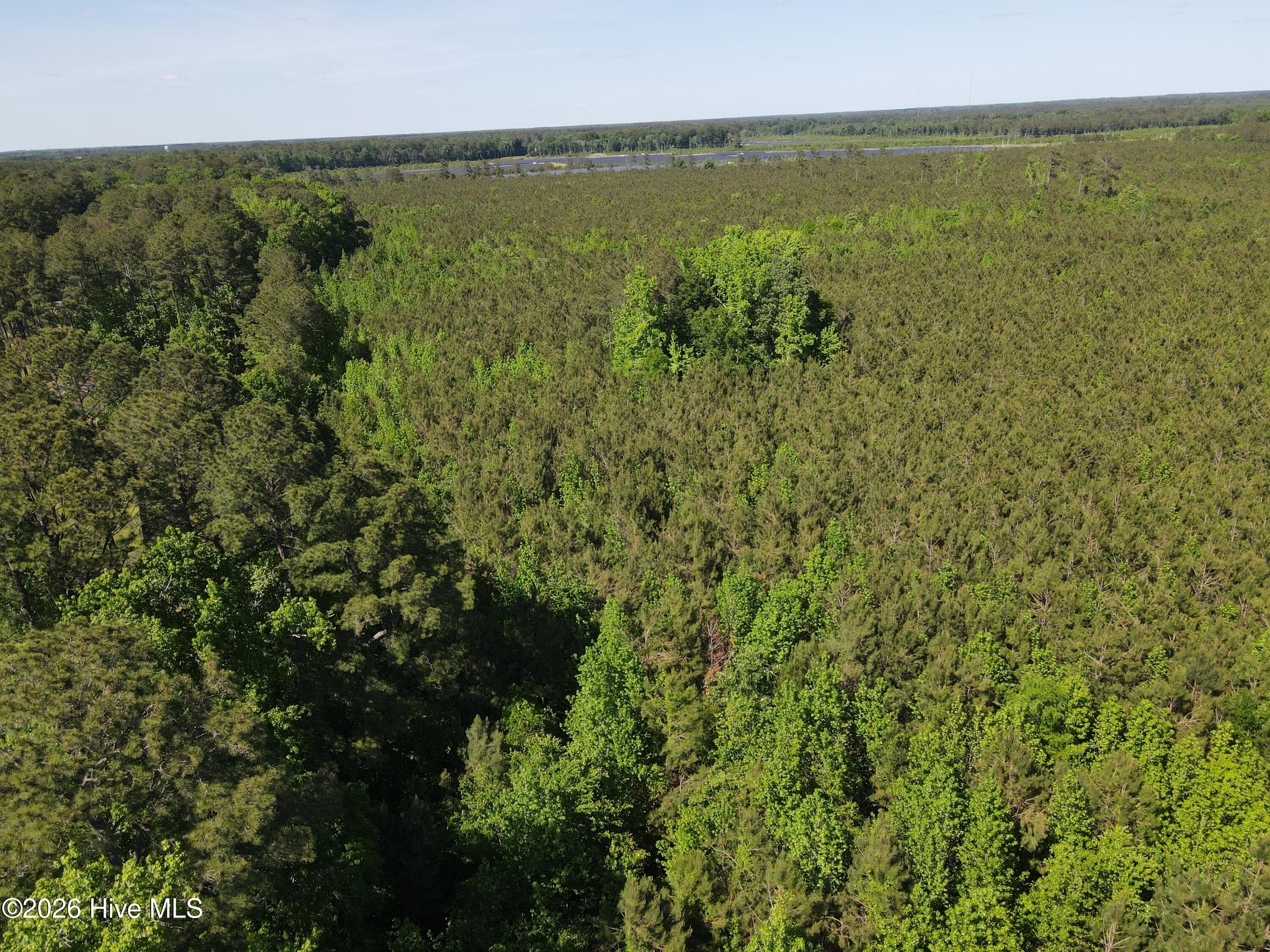 Undeveloped at 0 Colice Hall Lane, Ahoskie, NC 27910, photo 6 of 20
