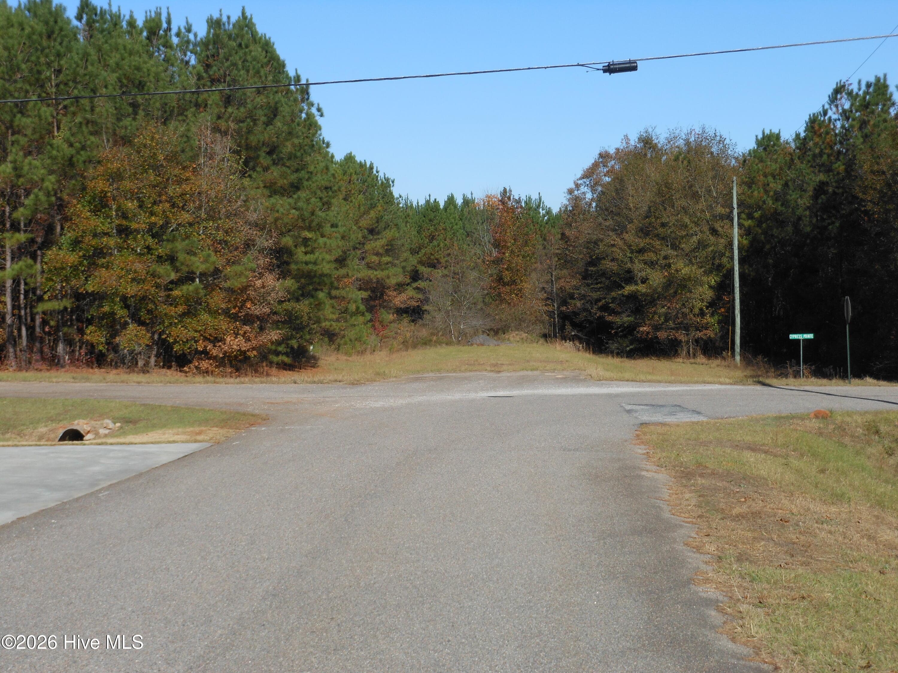 Undeveloped at 1447 Greiner Circle, Hephzibah, GA 30815, photo 4 of 10