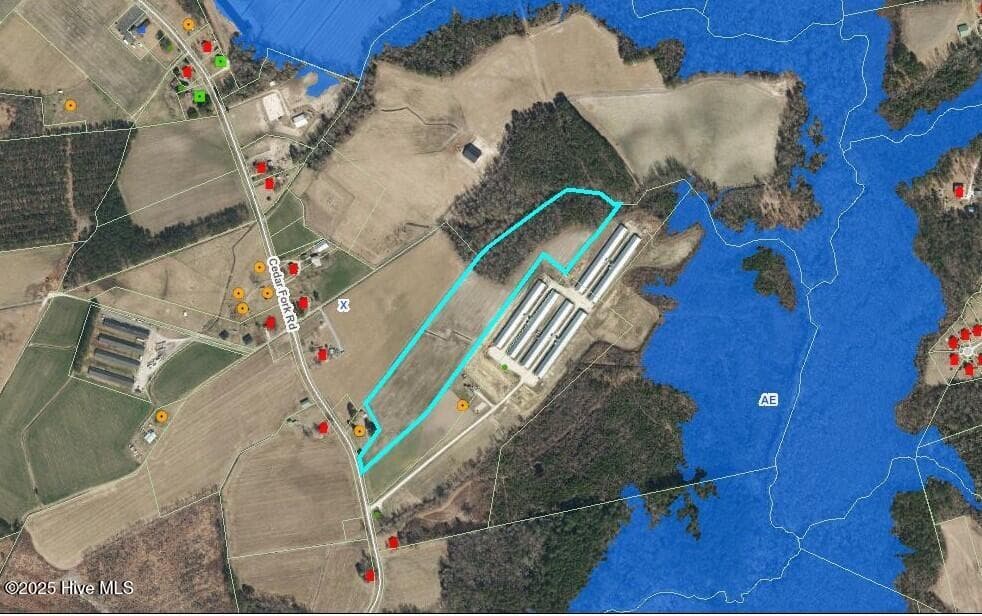 Farm at 000 1 Cedar Fork Road, Beulaville, NC 28518, photo 7 of 7