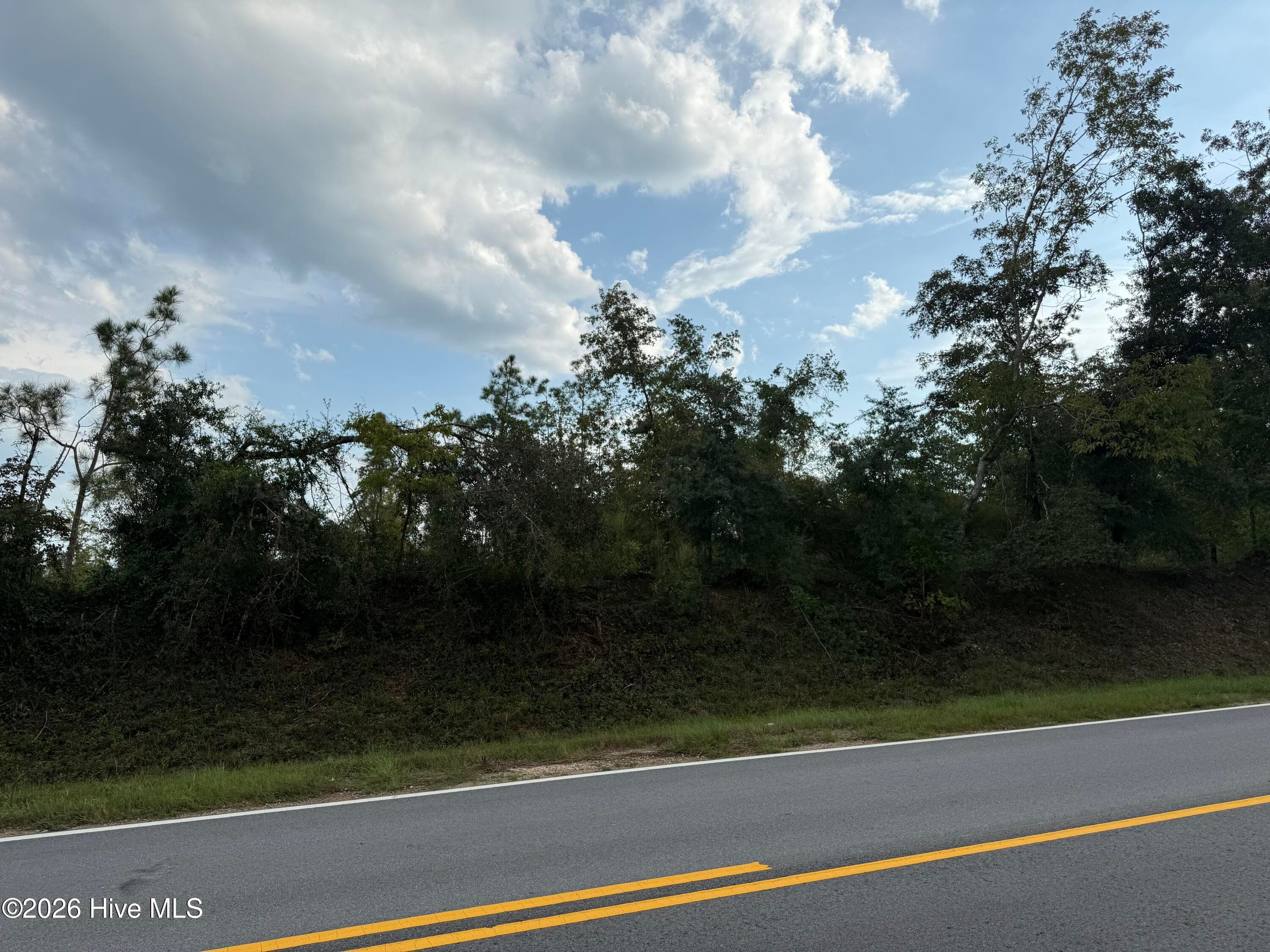 Undeveloped at 1576 Hephzibah - Mcbean Road, Hephzibah, GA 30815, photo 2 of 4