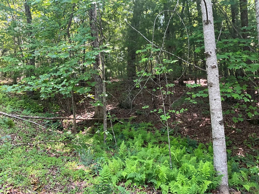 Land at 5 Birds View Lane, Murphy, NC 28906, photo 6 of 17