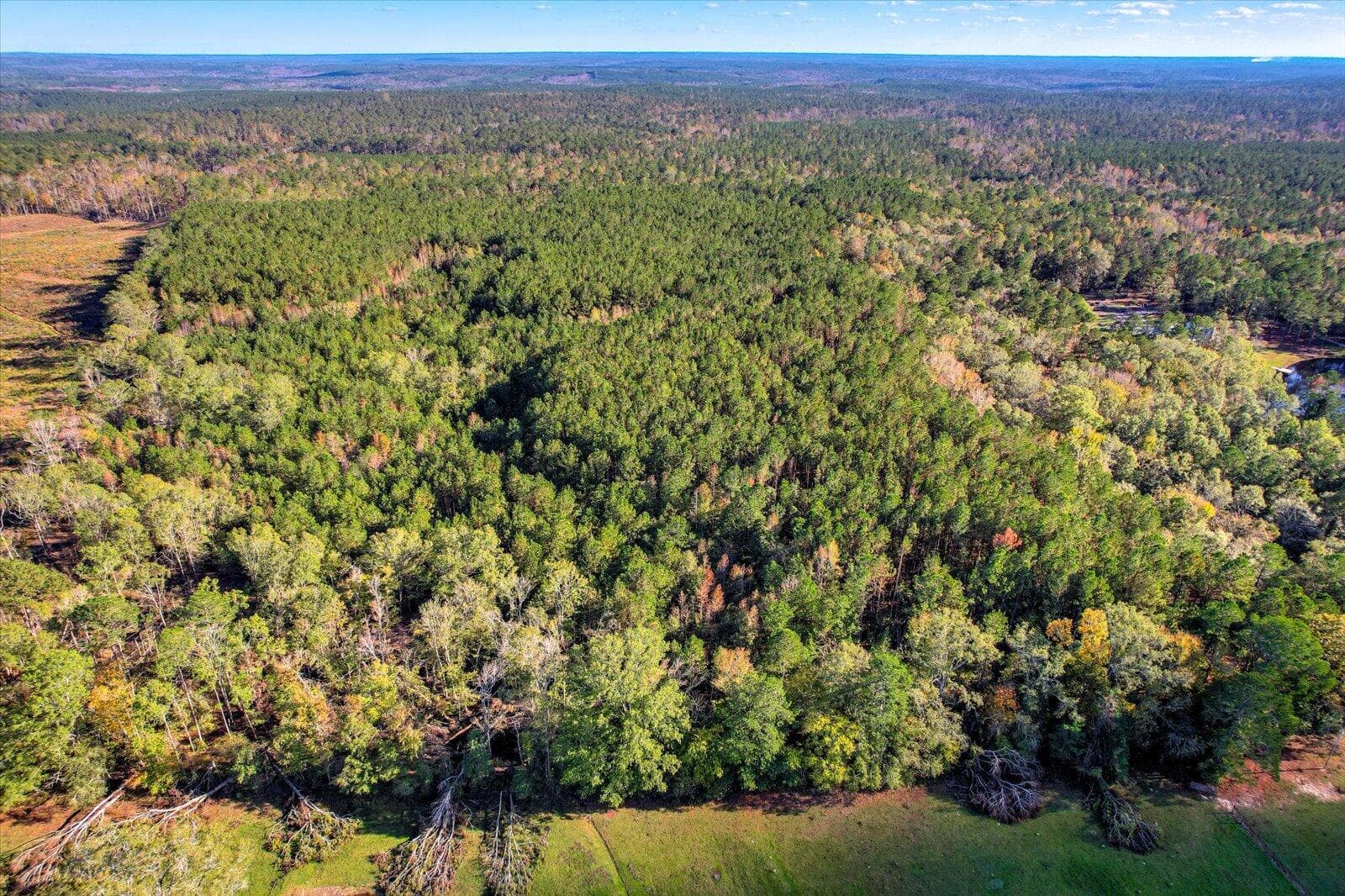 Undeveloped at Tbd2 Sc-23, Edgefield, SC 29824, photo 5 of 41