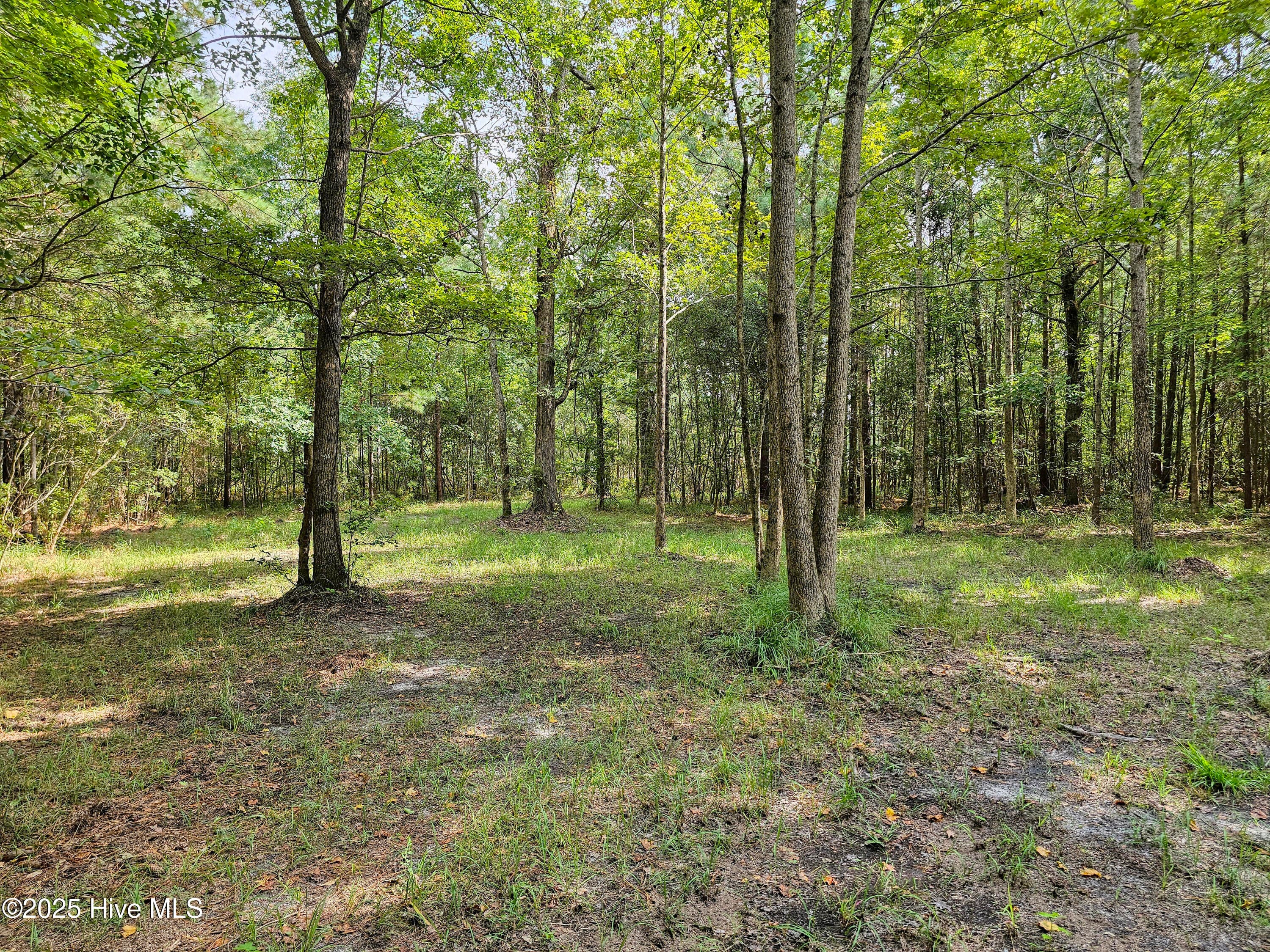 Residential Lot at Lot 77 77 Mcgowan Road, Bath, NC 27808, photo 7 of 16