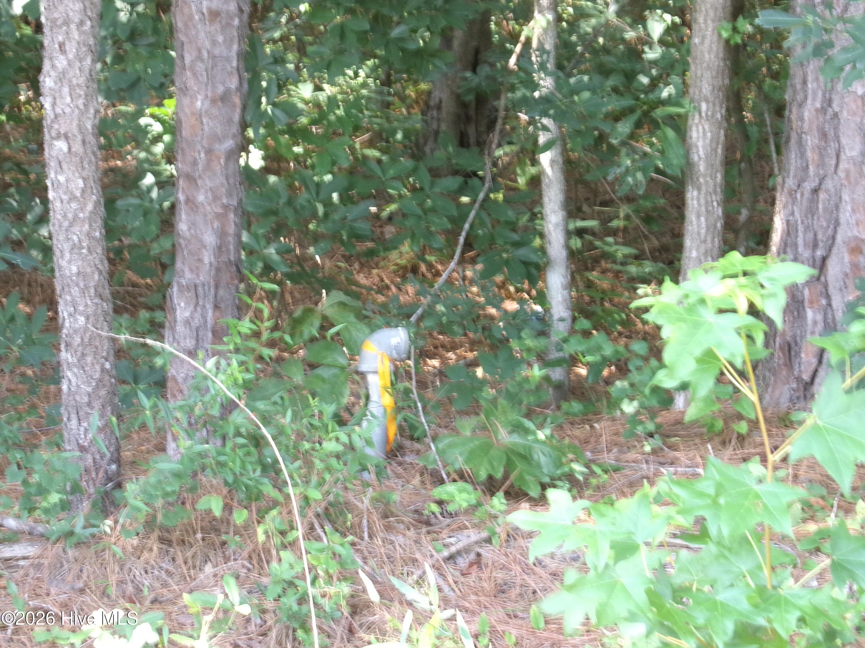 Residential Lot at 0 1701 State Road, Clarkton, NC 28433, photo 2 of 2