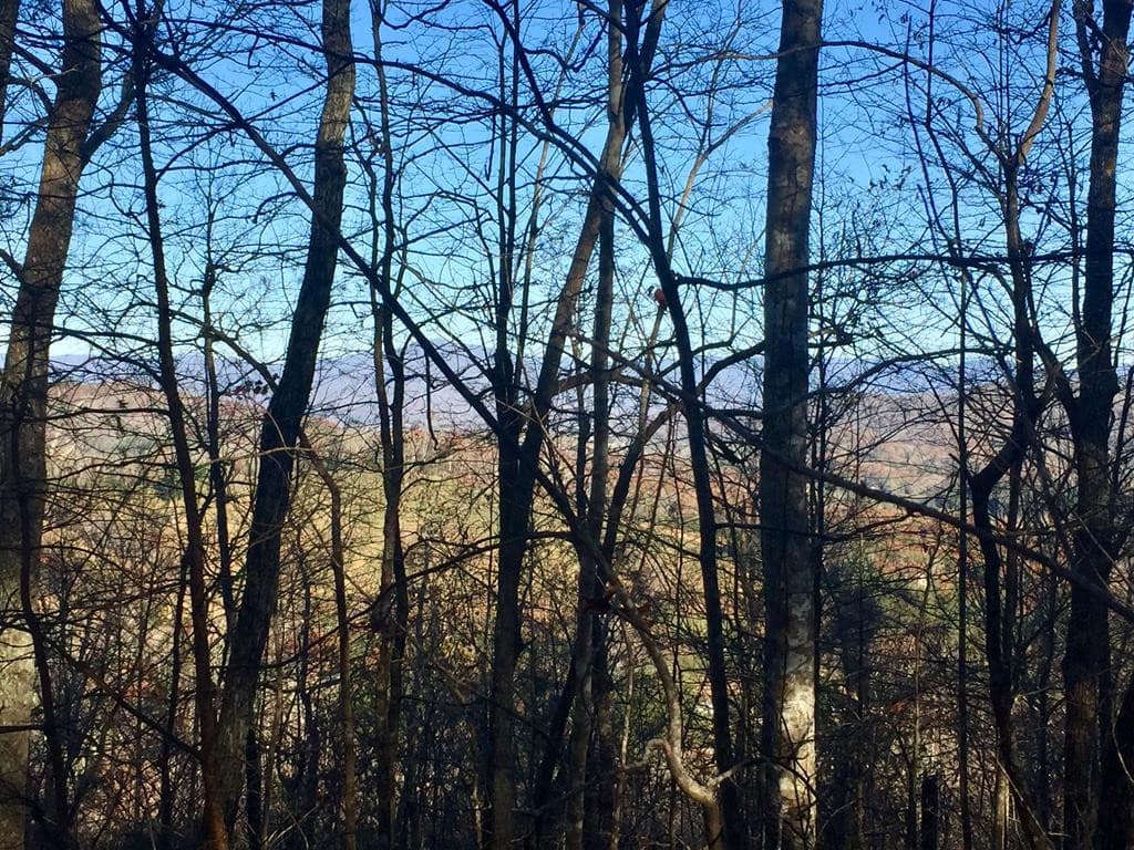 44+/-ac. Chilson Road, Warne, NC 28909