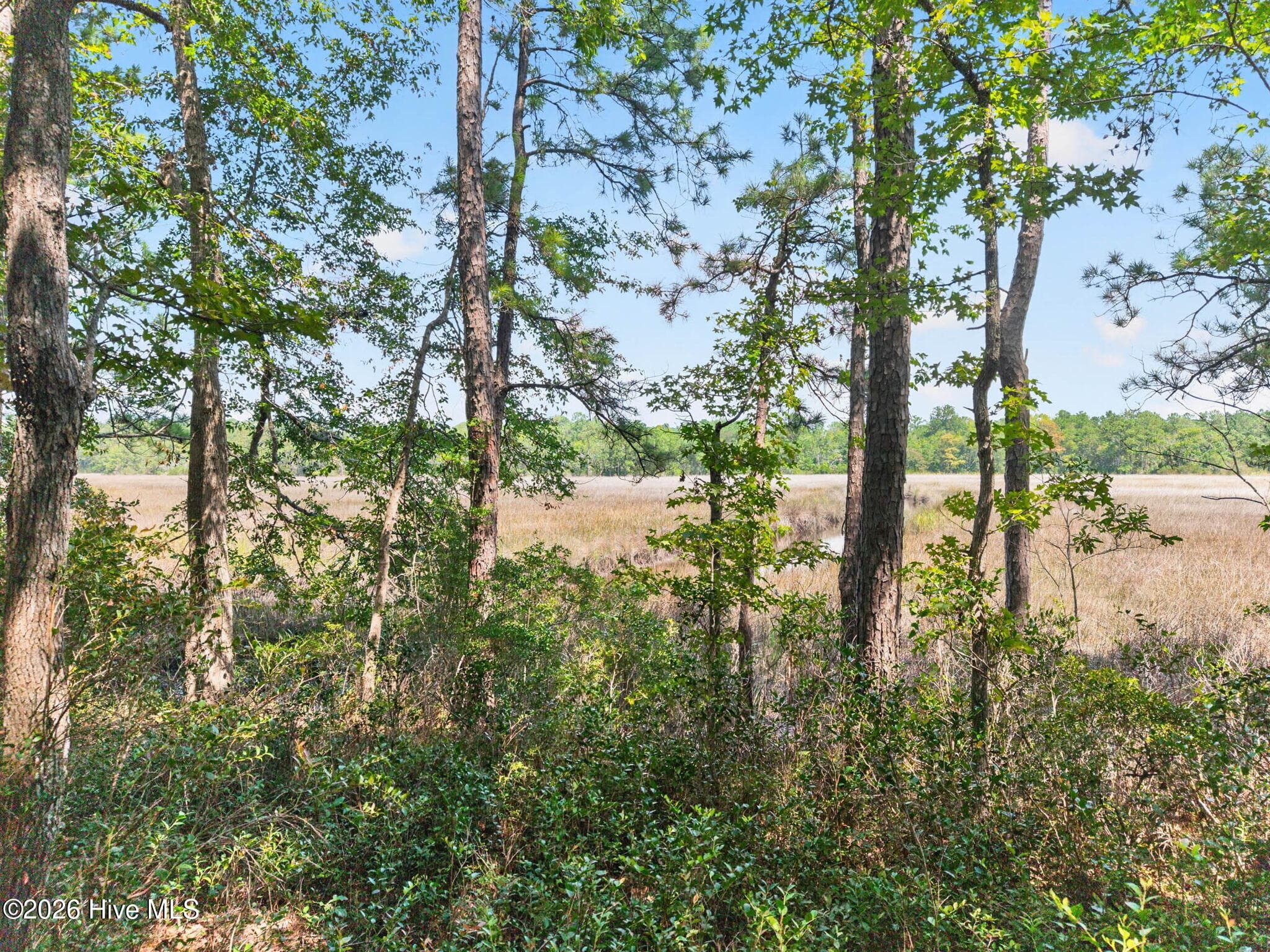 Residential Lot at 3075 L-54 Valderama Way SE, Bolivia, NC 28422, photo 14 of 25