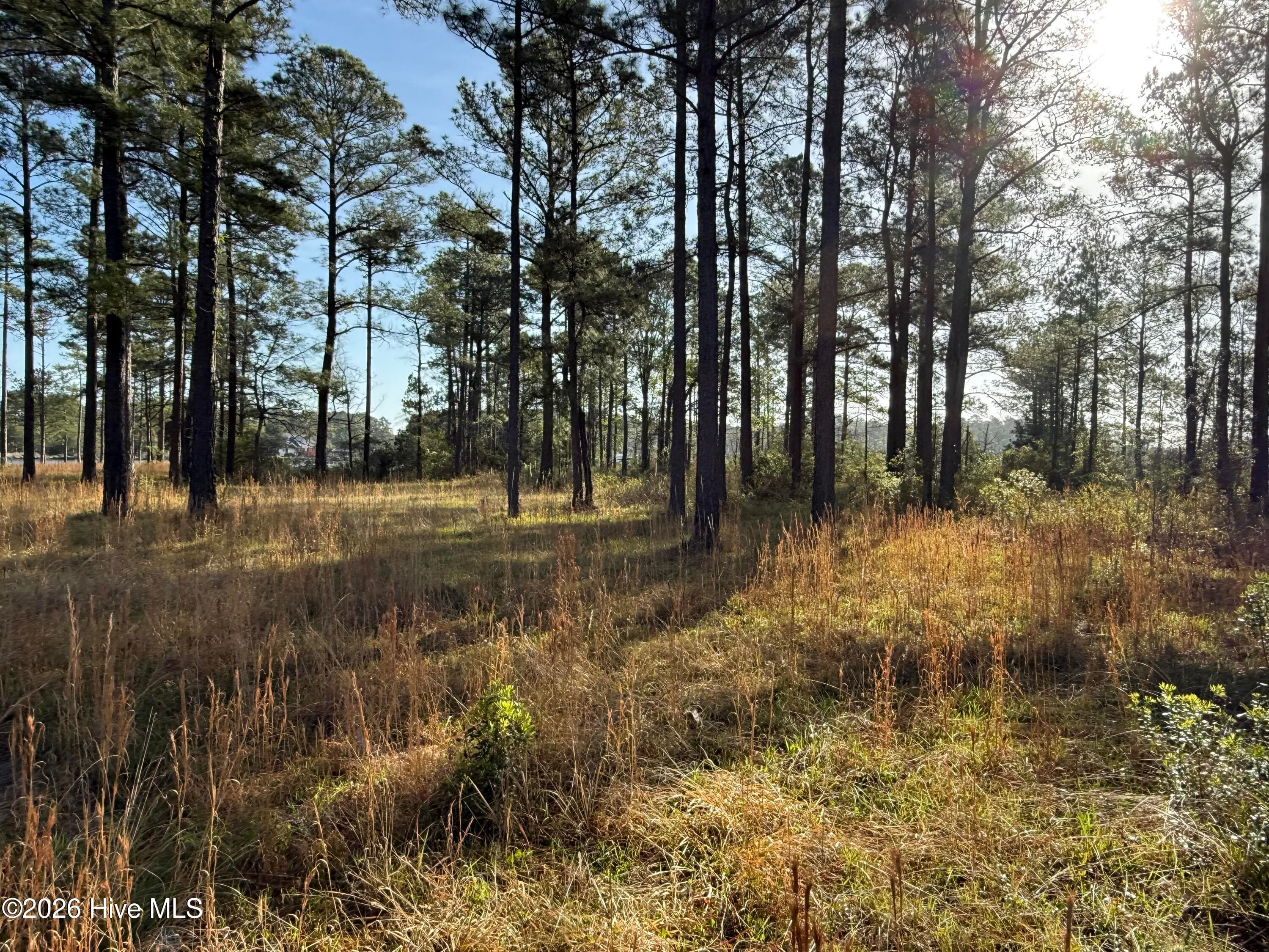 Residential Lot at 269 23 Shell Castle Lane, Vandemere, NC 28587, photo 24 of 43