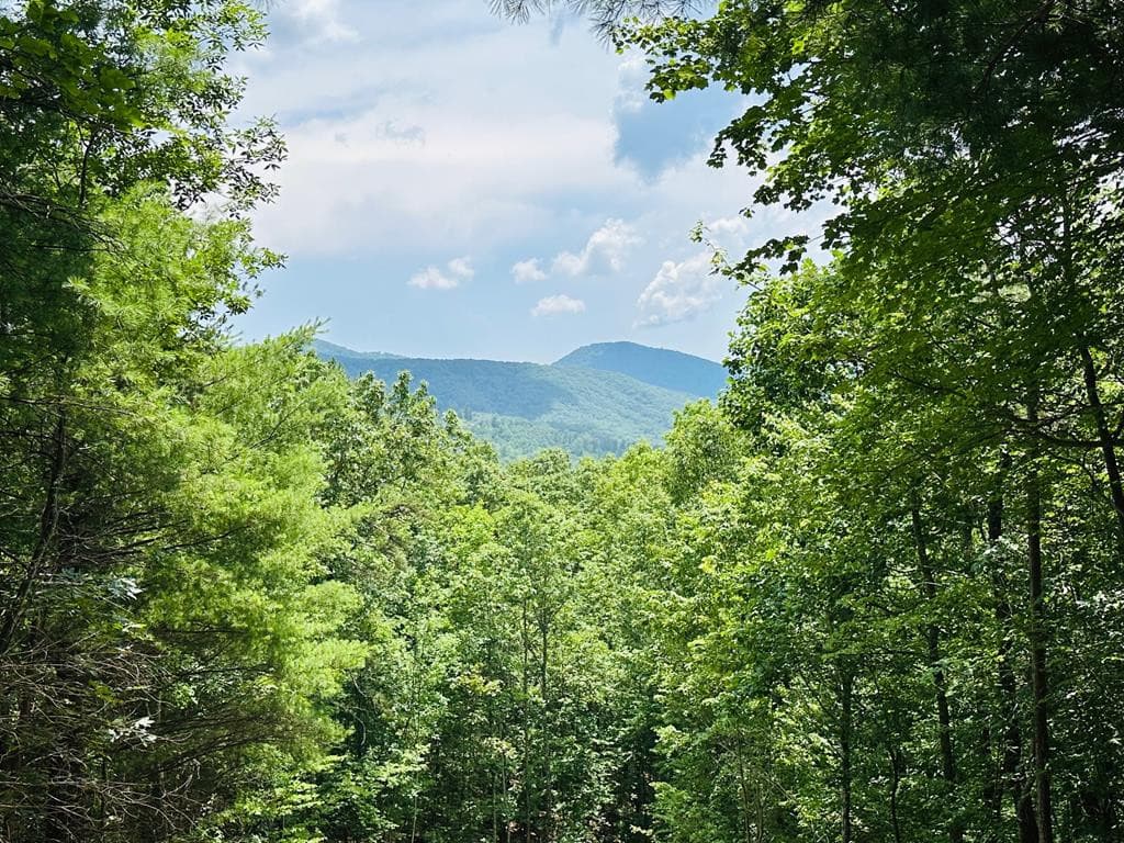 Lot 15 15 View Ridge Trail, Murphy, NC 28906