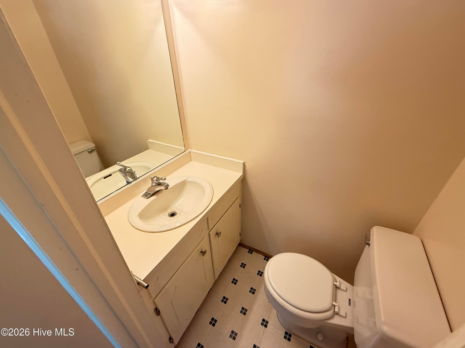 Single Family Residence at 501 N Chestnut Street, Mount Olive, NC 28365, photo 13 of 26