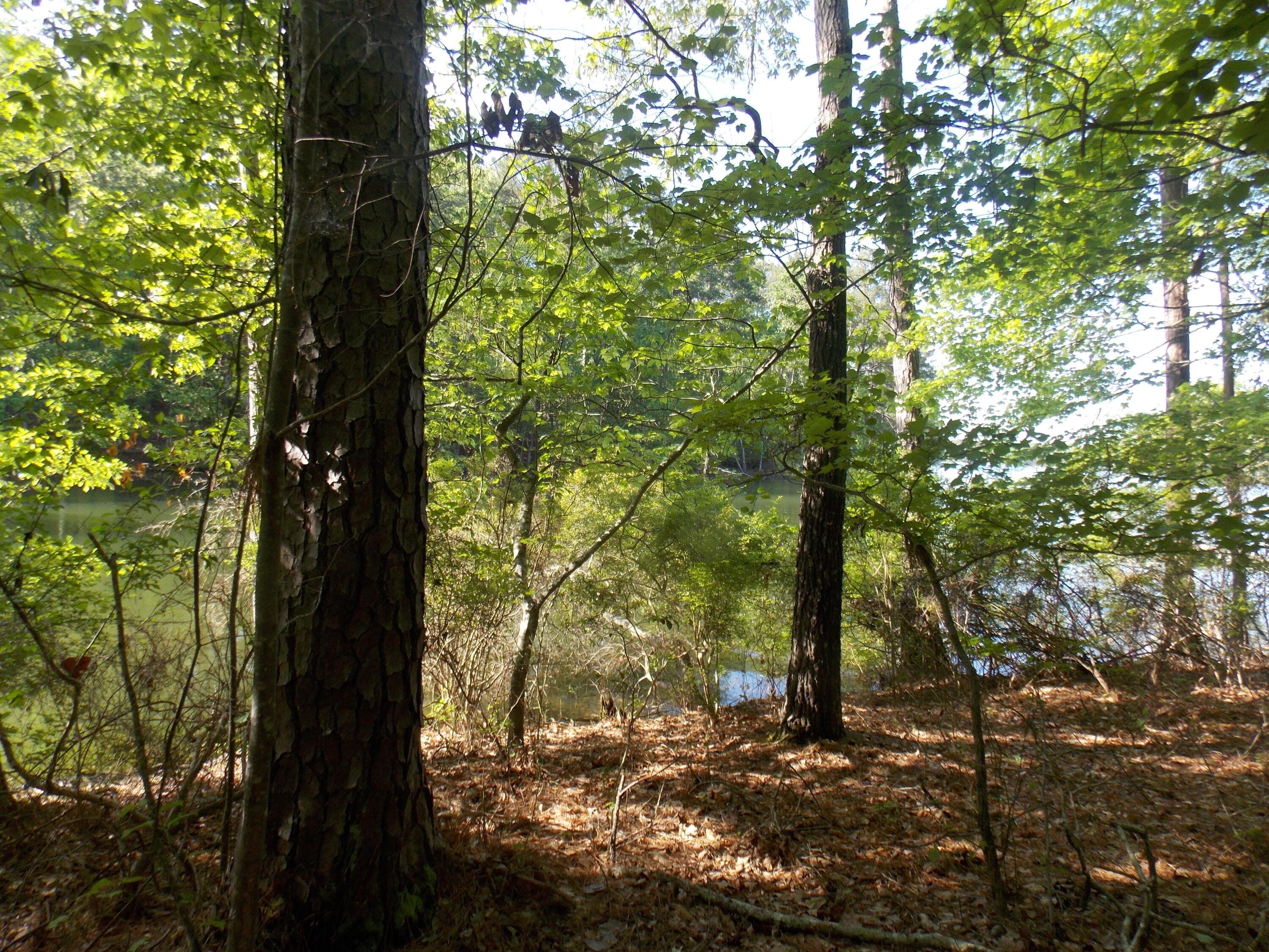 Residential Lot at 12 12 Riverview Court, Lincolnton, GA 30817, photo 2 of 5