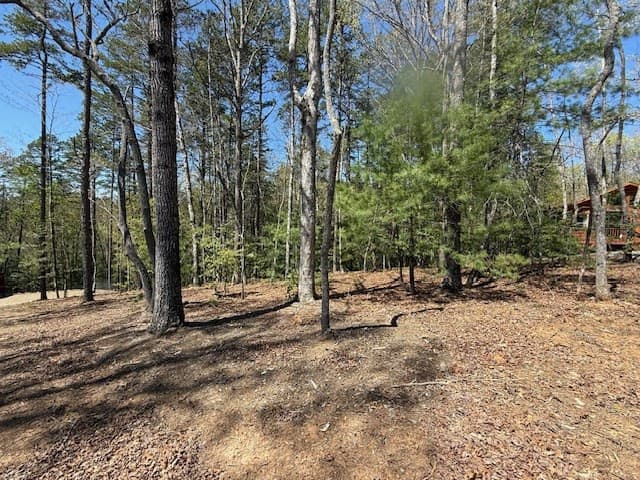 Residential Lot at Lot 2 2 Lynae Lane, Murphy, NC 28906, photo 2 of 5