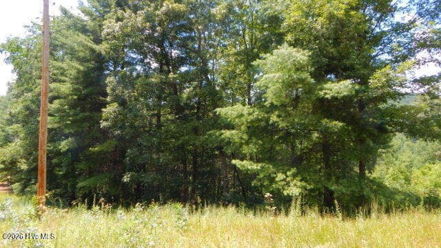 Residential Lot at 16 16 Tyler Ridge, Murphy, NC 28906, photo 2 of 6