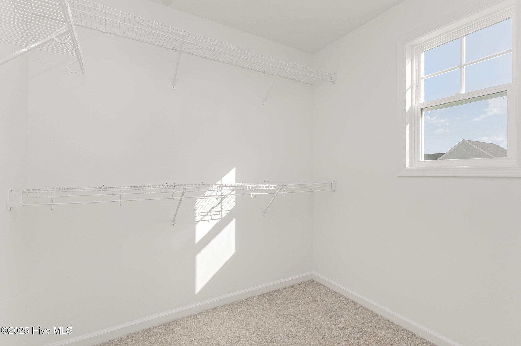 Single Family Residence at 77 Littlefield Lane, La Grange, NC 28551, photo 129 of 145