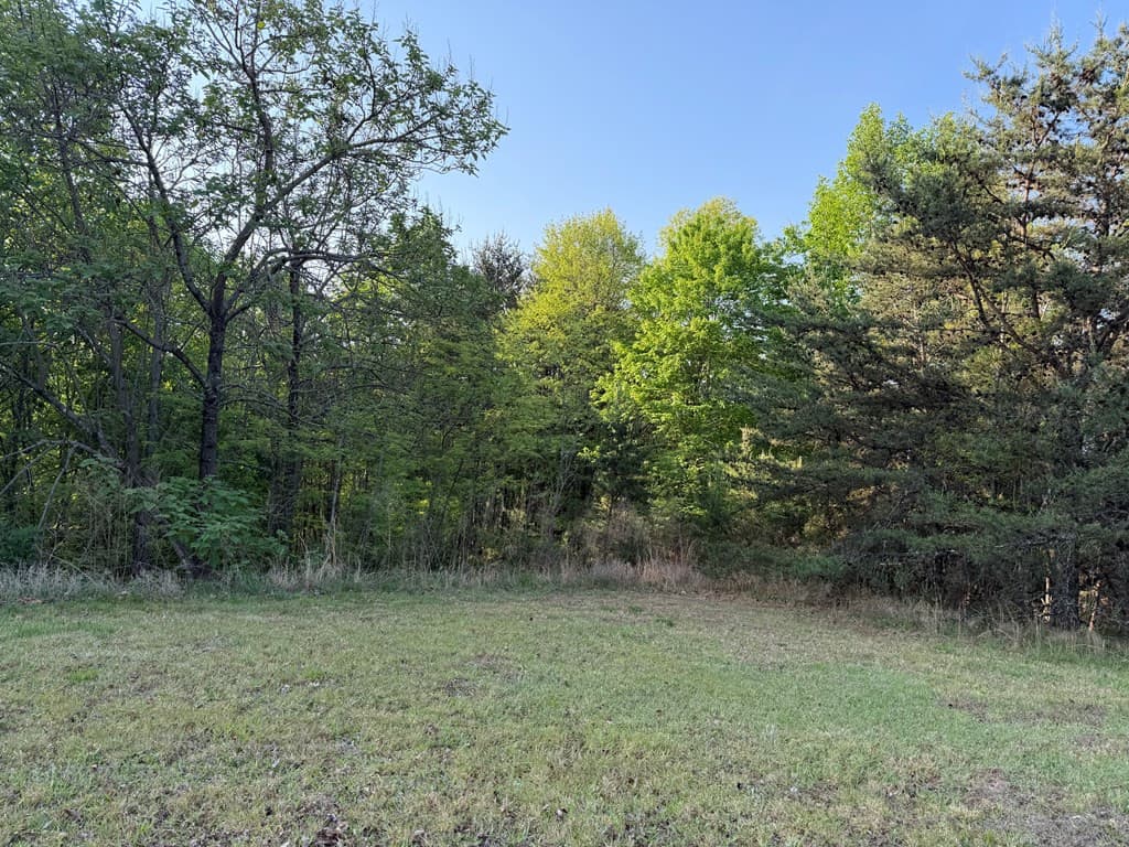 Land at Lot #20 20 Yellow Maple Drive, Murphy, NC 28906, photo 8 of 14