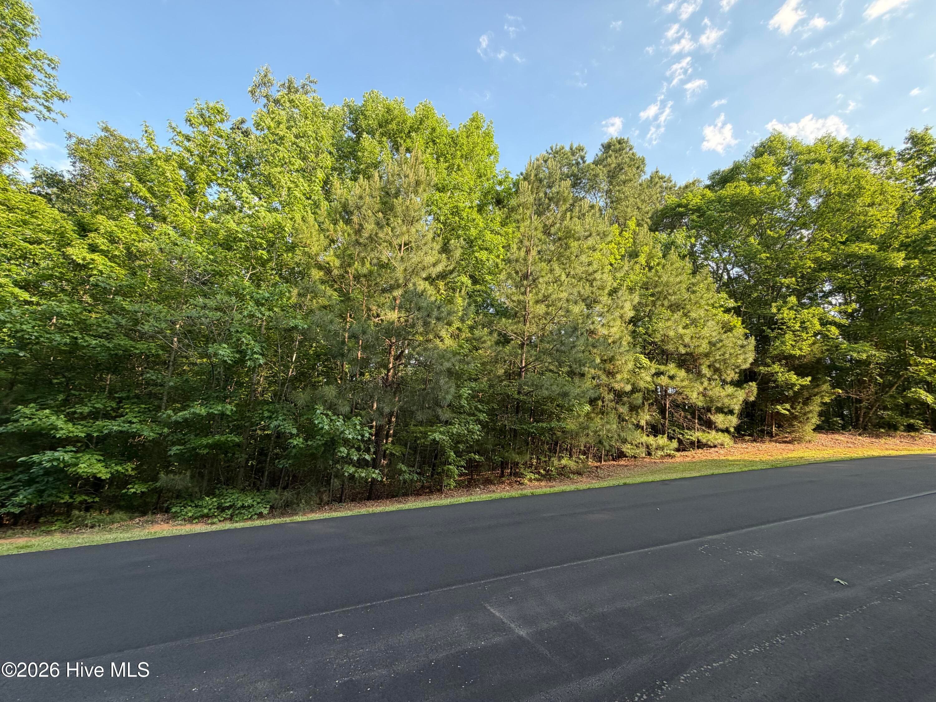 Wooded at 150 28 Watsons Way, Rockingham, NC 28379, photo 2 of 7