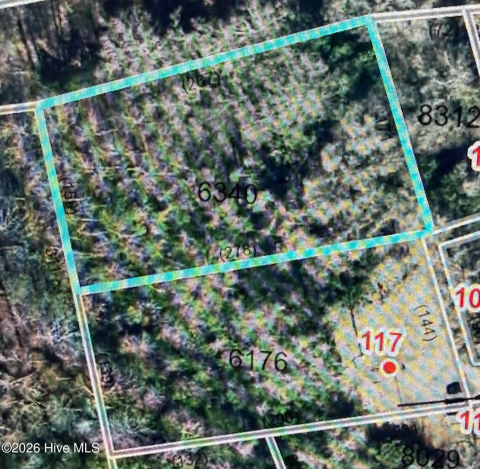 Wooded at Tbd Cedar Street, Rockingham, NC 28379, photo 3 of 18