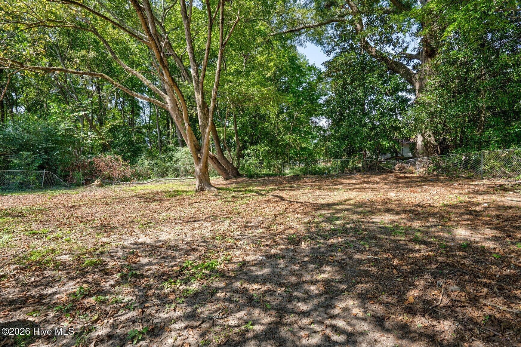 Single Family Residence at 304 Gum Avenue, Spring Hope, NC 27882, photo 21 of 23